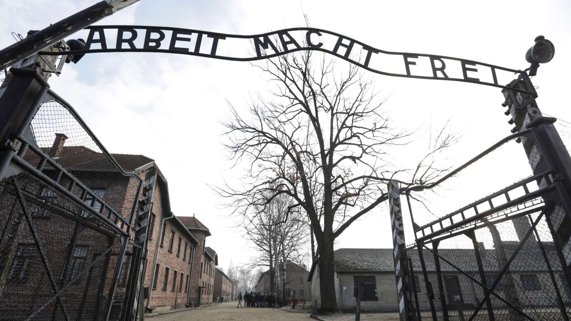 Ingången till koncentrationslägret Auschwitz-Birkenau med sin ökända skylt.