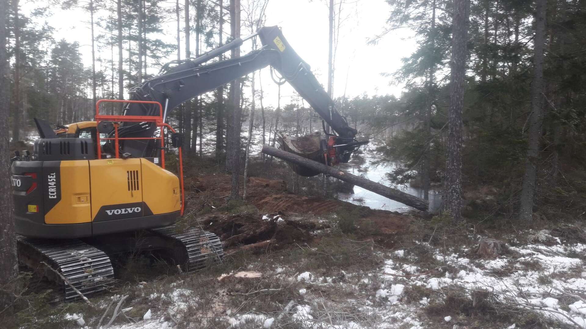 Tidigare i år återställdes Trunhatten och nu vill Naturskyddsföreningen fortsätta restaureringsarbetet på en rad mossar i Degerfors och Laxå.