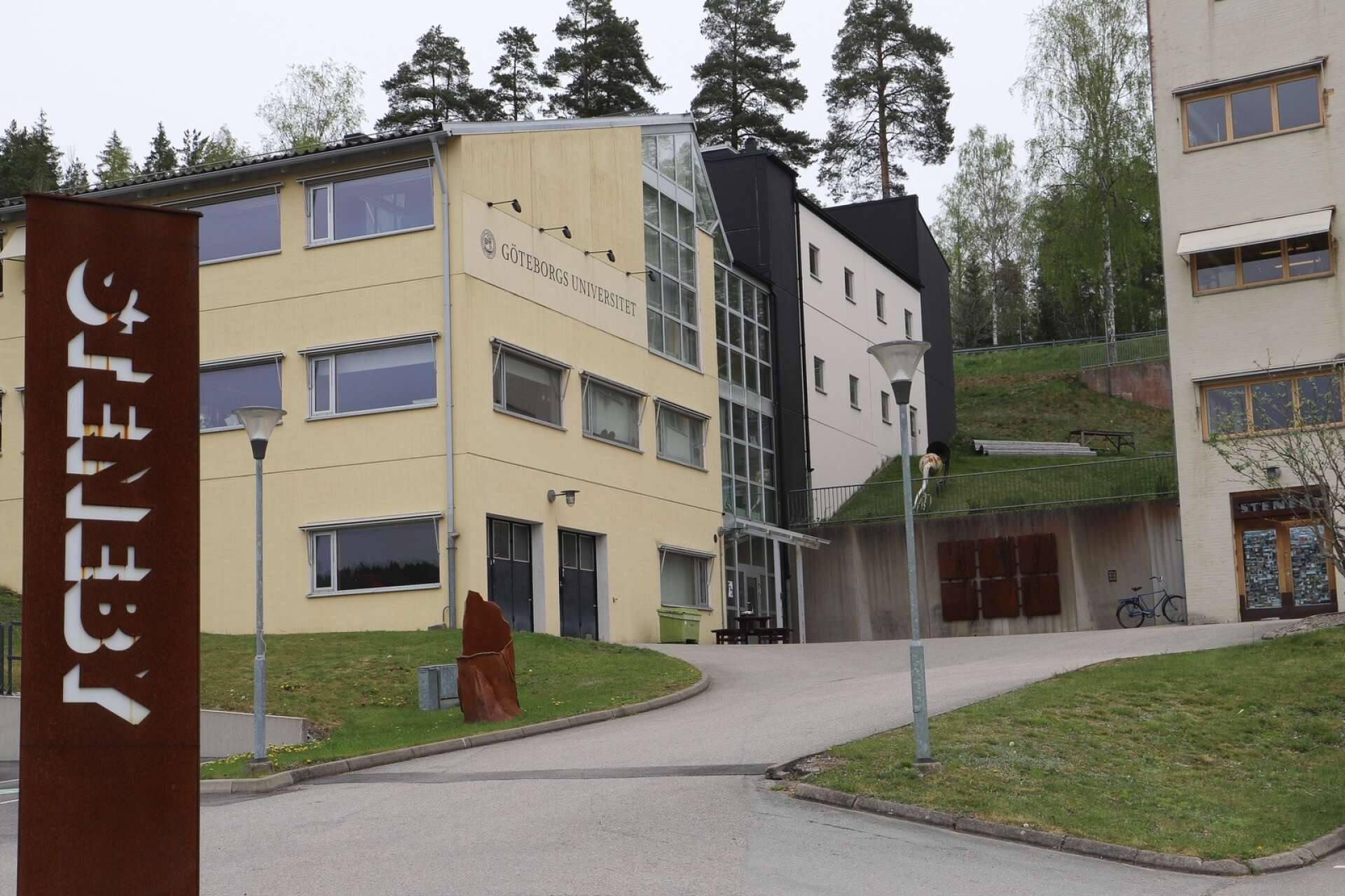 Mötesplats Steneby finns i Dals Långed där Stenebyskolan och HDK Valand/Göteborgs Universitet bedriver yrkes-, högskoleförberedande och universitetsutbildningar inom konst, design och hantverk.