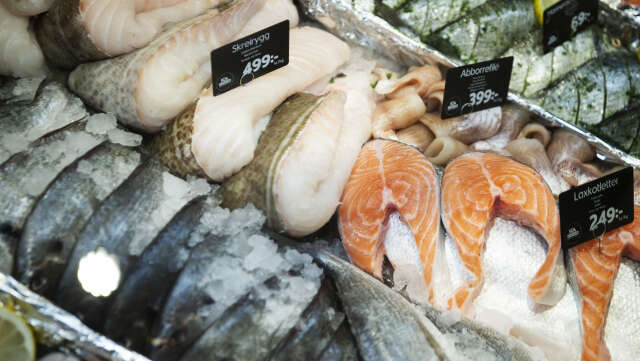 Svenskodlad regnbåge och ostron odlade i Frankrike här till fisk- och skaldjur som kan ätas med gott samvete. Arkivbild.
