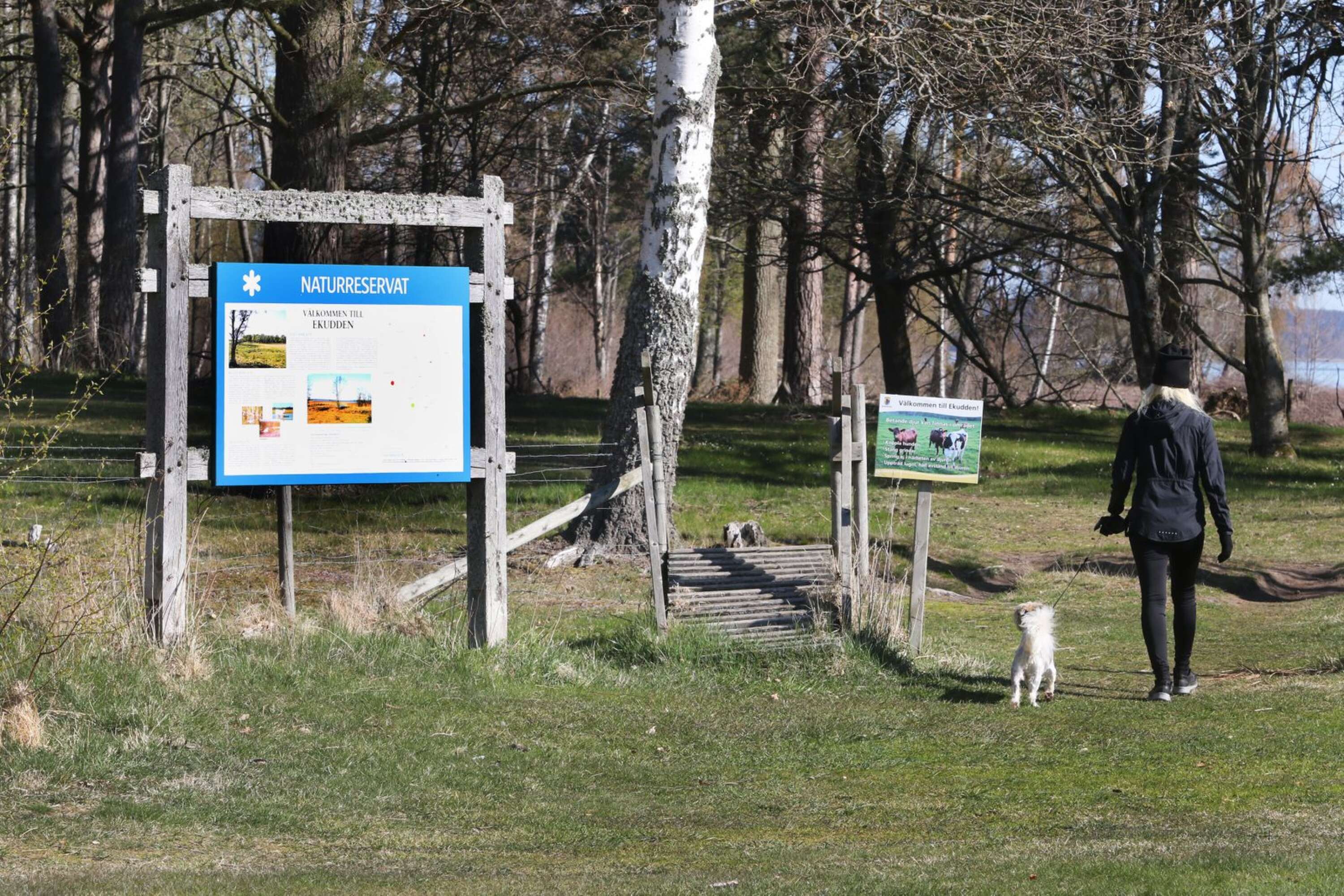 Bara en kort promenad från Mariestads centrum finns två naturreservat med en vandringsled utmed Vänerkanten.