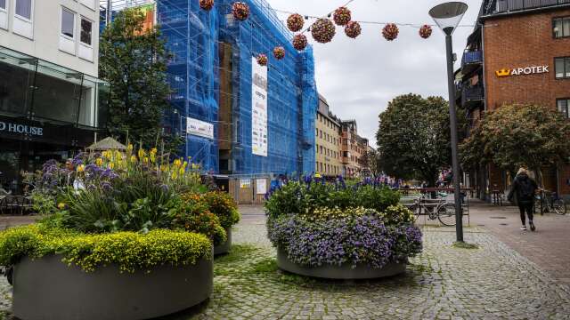 Den här sortens blomsterprakt kan det bli mer av i Karlstads centrala delar i framtiden, beroende på vad blomsterprogrammet kommer fram till.