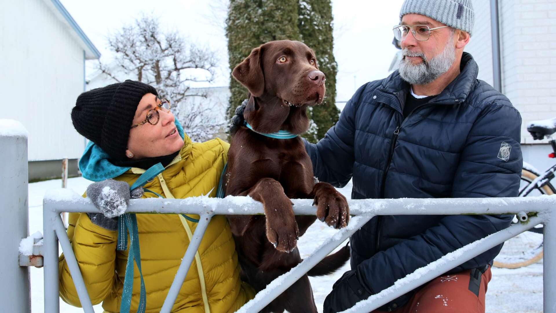 Elton älskar allt och alla. Matte och husse, Helen och Per Holgersson, är glada över att de tog chansen att under pandemin skaffa hund. Som hundägare fylls deras liv med promenader och en villkorslös kärlek.