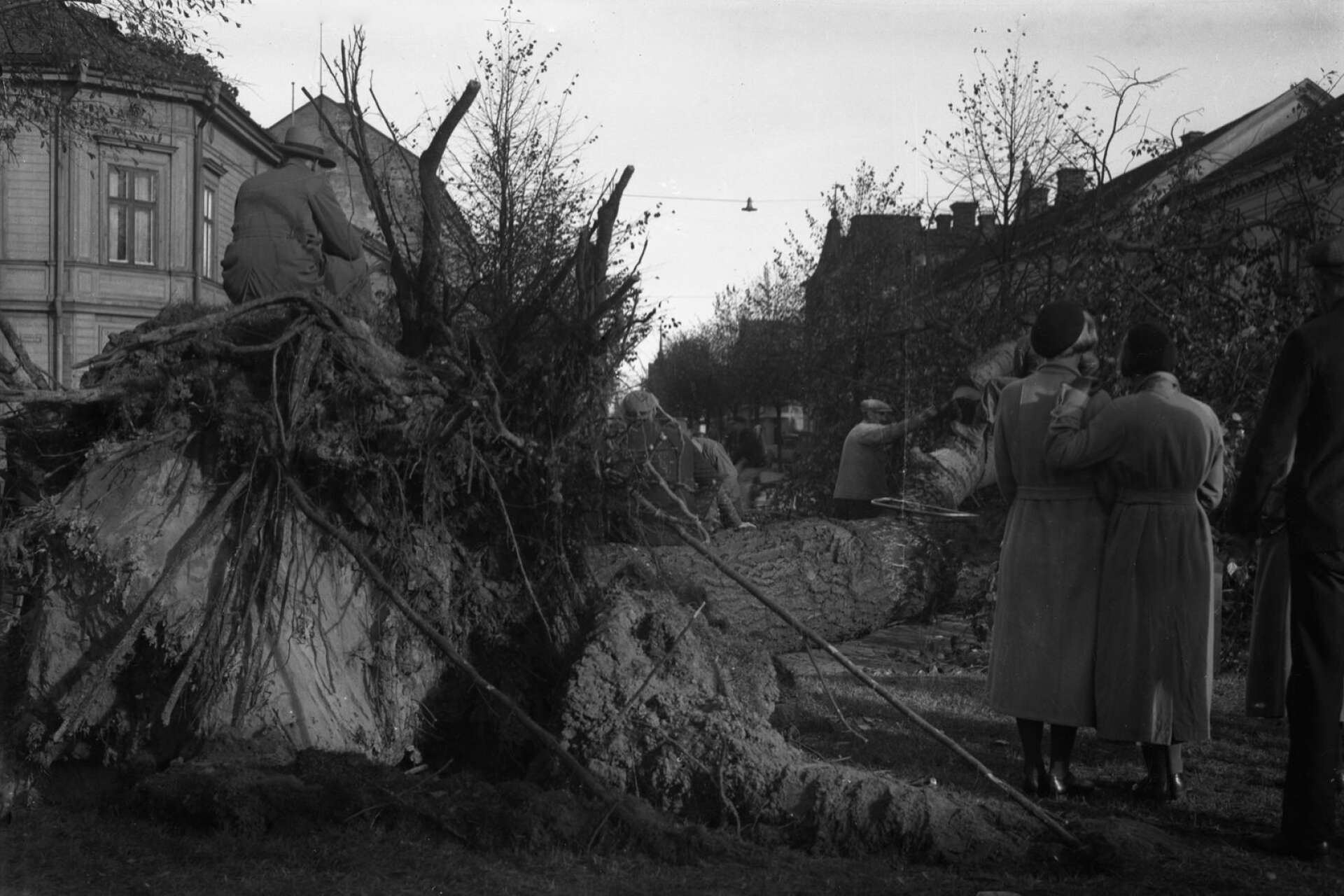 Vid Östra Torggatan hade ett stort träd blåst omkull och spärrat av hela gatan.