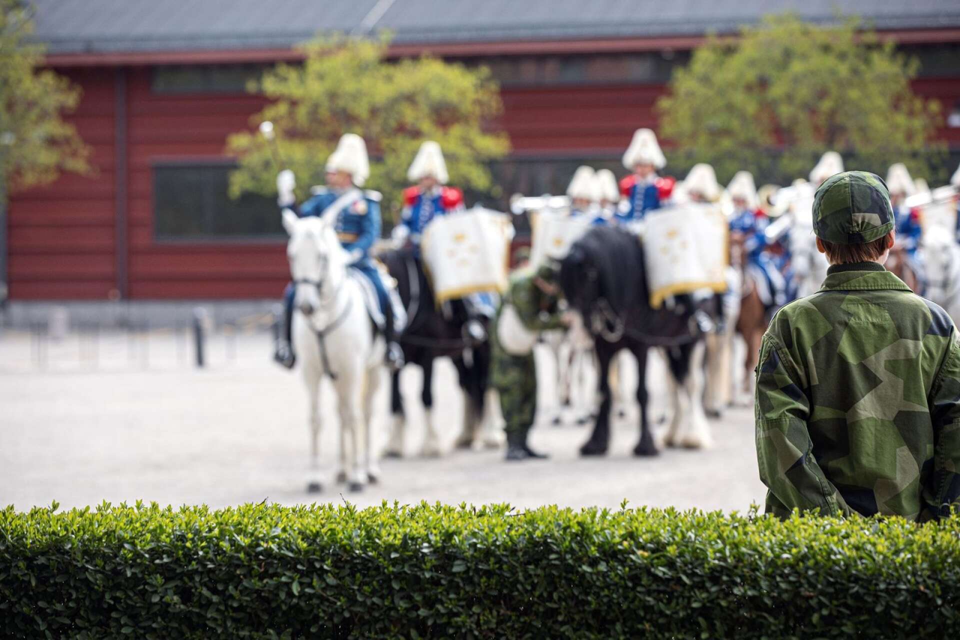 Beridna Högvakten är en förening som är helt beroende av medlemsavgifter. Nu köper de in ungefär 12 nya hästar per år  som det svenska försvaret sedan använder. 