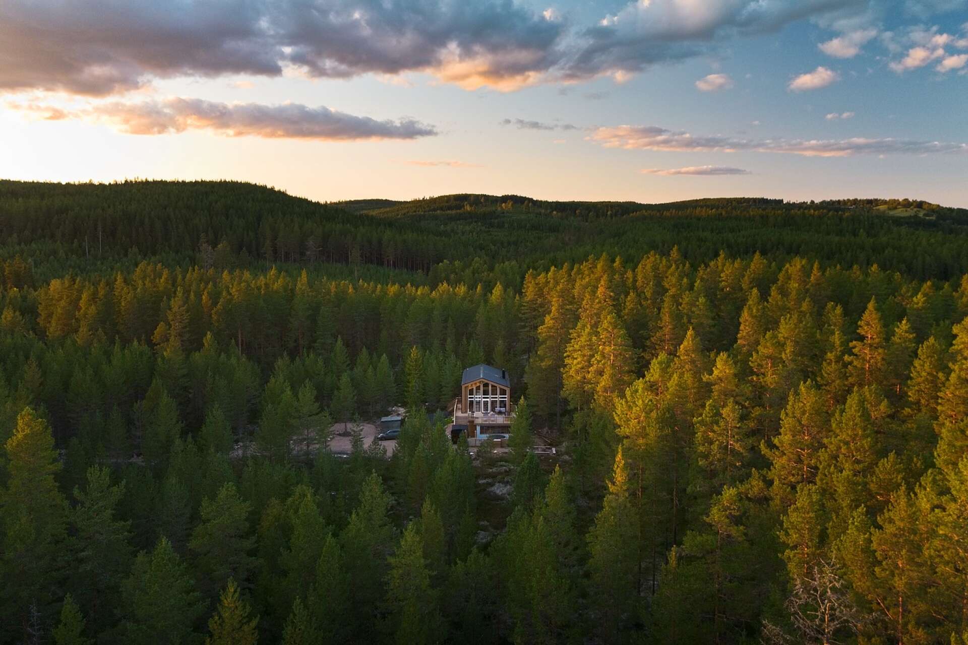 Unike Finnskogen AB har upptäckt den unika skogen i Lekvattnet. Här tornar &quot;Skogsslottet&quot; upp sig.