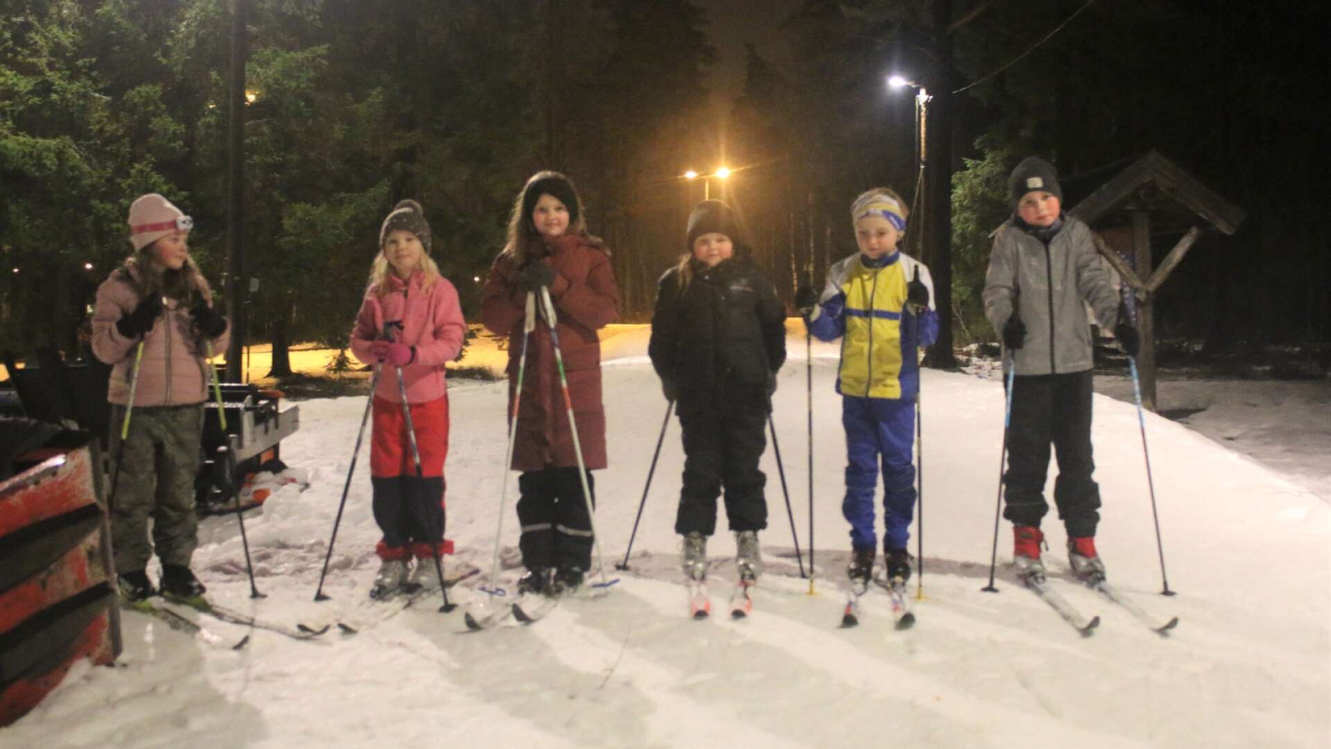 Linnéa Eskfelt, Emmie Karlsson, Emilia Karlsson, Lovisa Karlsson, Filip Svärd Johansson och Louie Jansson gillar att åka skidor.