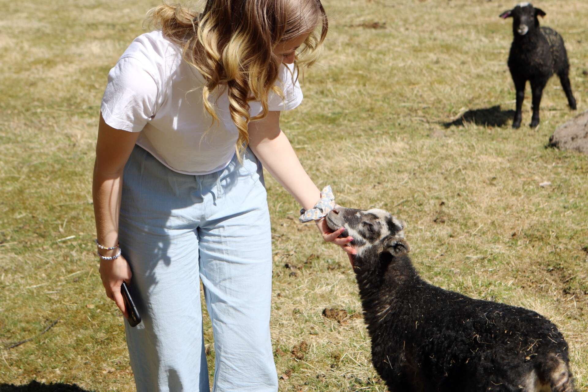 Majas familj har en hel del djur - bland annat lamm. Och att umgås med djur är något Maja uppskattar mycket. ”Det är väldigt mysigt och lugnande”.