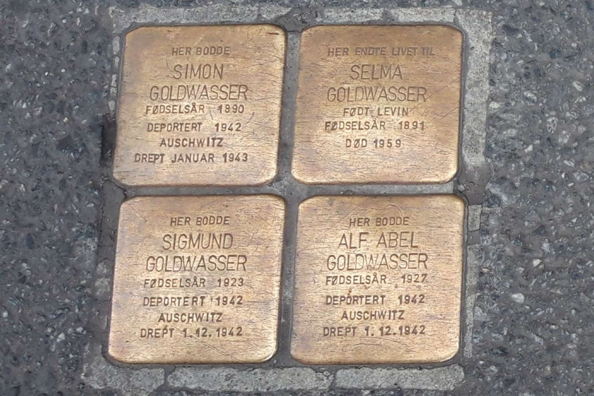 Utanför portar på Oslos gator finns sedan några år tillbaka så kallade snubbelstenar. Stenarnas inskrifter visar namnen på de judiska norska medborgare som en gång bodde där och ska få oss att minnas.