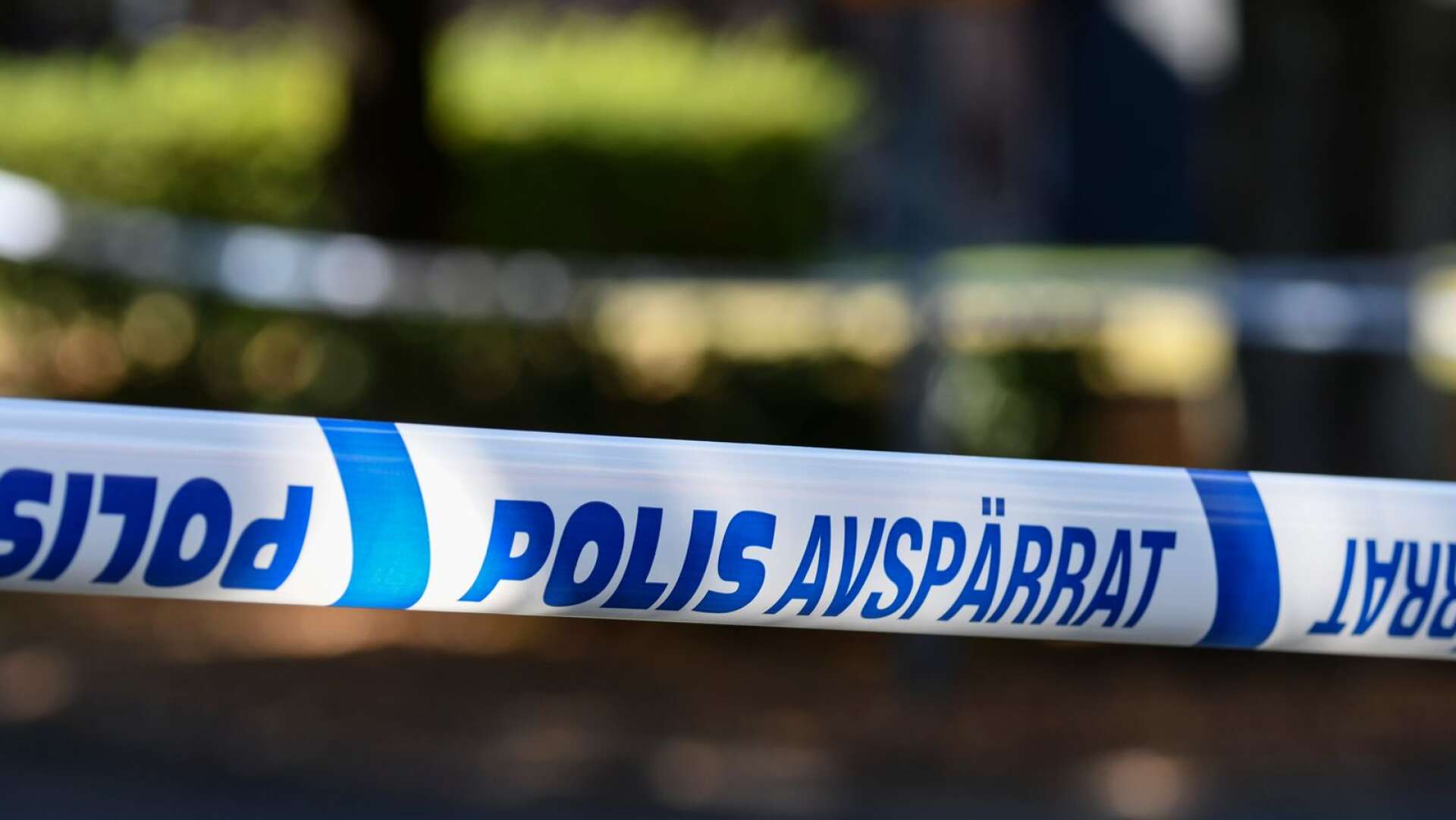 Fängelsedomarna gäller i första hand grovt rån efter ett inbrott i ett villaområde i Åmål i början av oktober.