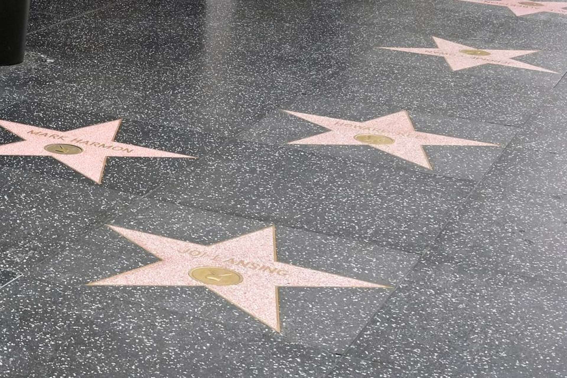 Med inspiration från de berömda trottoarstenarna i Hollywood har sju personer med koppling till Mora fått sina namn på gatstenar, bland annat Anders Zorn och Mora-Nisse.