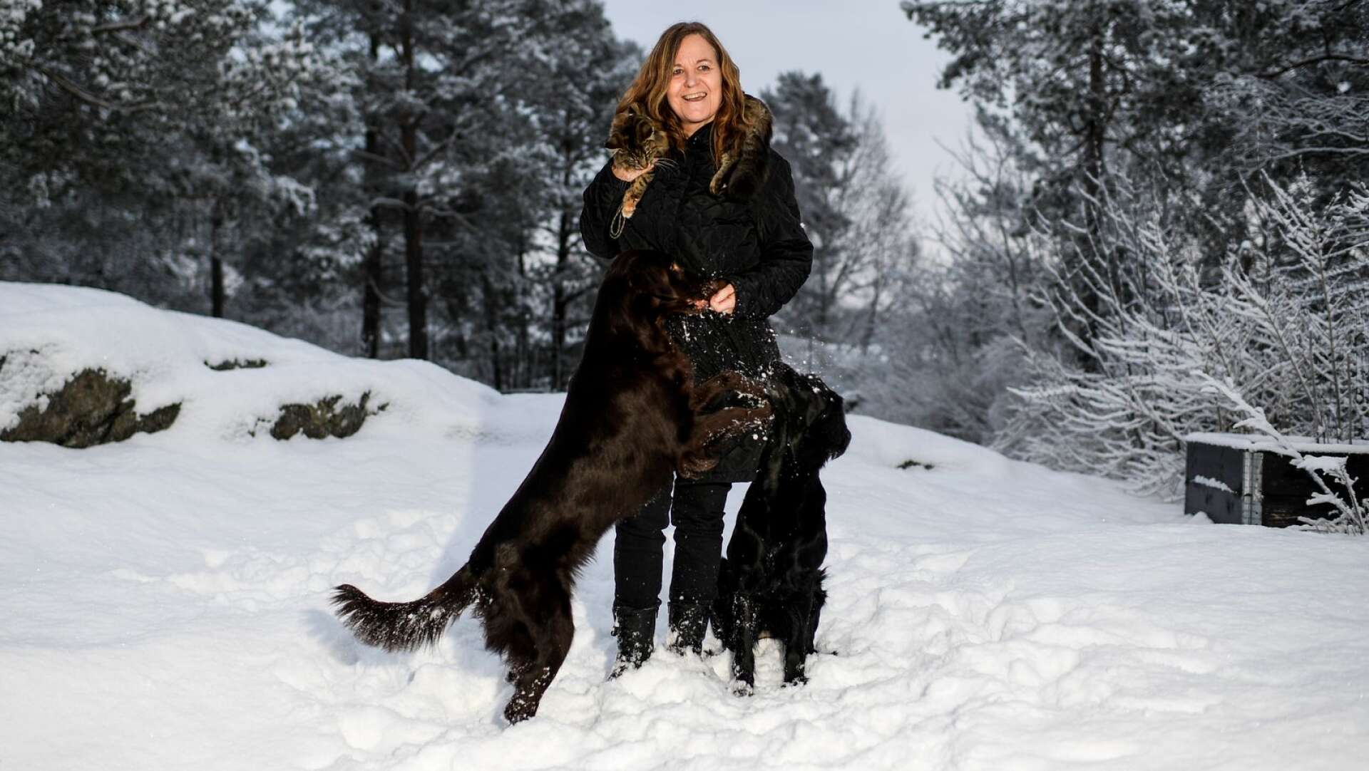 Hundar är bra för hälsan, enligt forskningen. Det kan hundinstruktören Helena Högberg-Holm intyga. Hon driver Holmtorps hundkurser och har två flatcoated retrievers som heter Lystra och Chilla. Skogkatten Lo hänger med på det mesta.