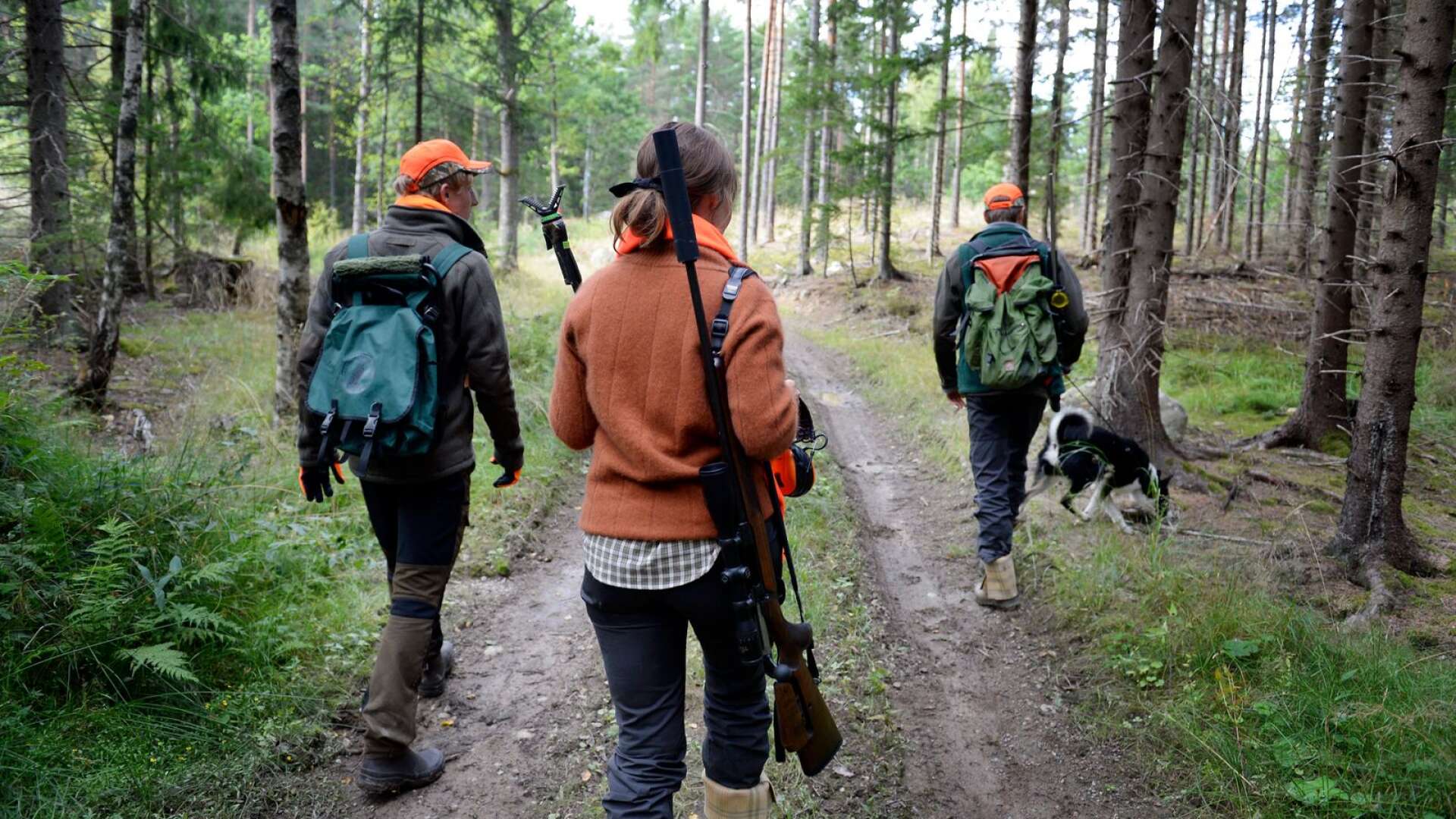 Att jaga är inte en hobby för de flesta utan det är en livsstil och en del av deras identitet. Ett sådant uttalande ses därför som en skuldbeläggning av alla jägare, skriver Marléne Lund Kopparklint och Patrick Benabou.