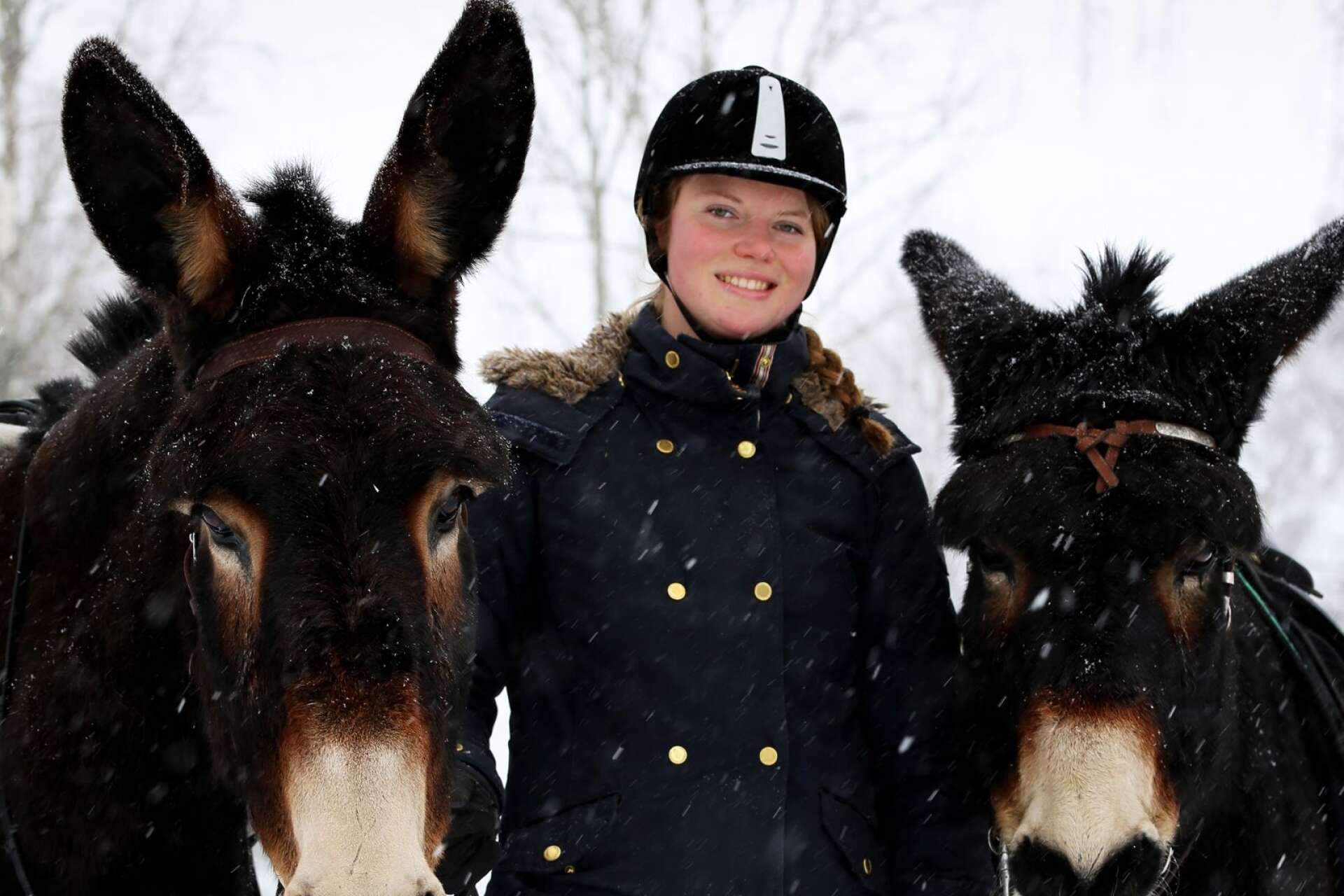 För den som har tröttnat eller inte har modet för turridning på häst kan åsnor vara ett tryggare alternativ, menar Charlotte Steen.