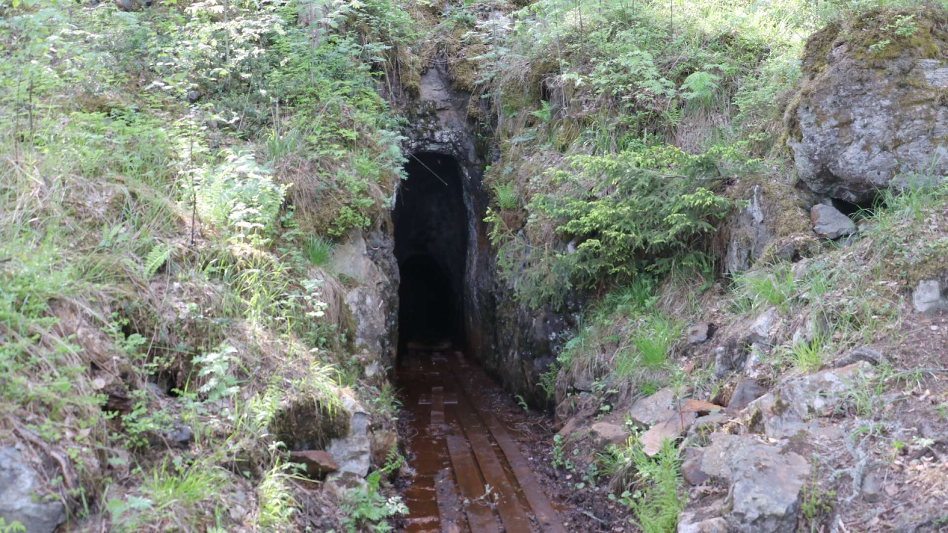 Prospekteringsföretaget har hittat en ingång till en ny gruva i Hagfors kommun. Här är nedlagda gruvgången Tilas Stoll i Högbergsfältet i Filipstads kommun.