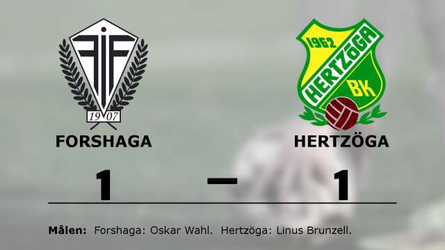 Forshaga IF Fotboll spelade lika mot Hertzöga BK