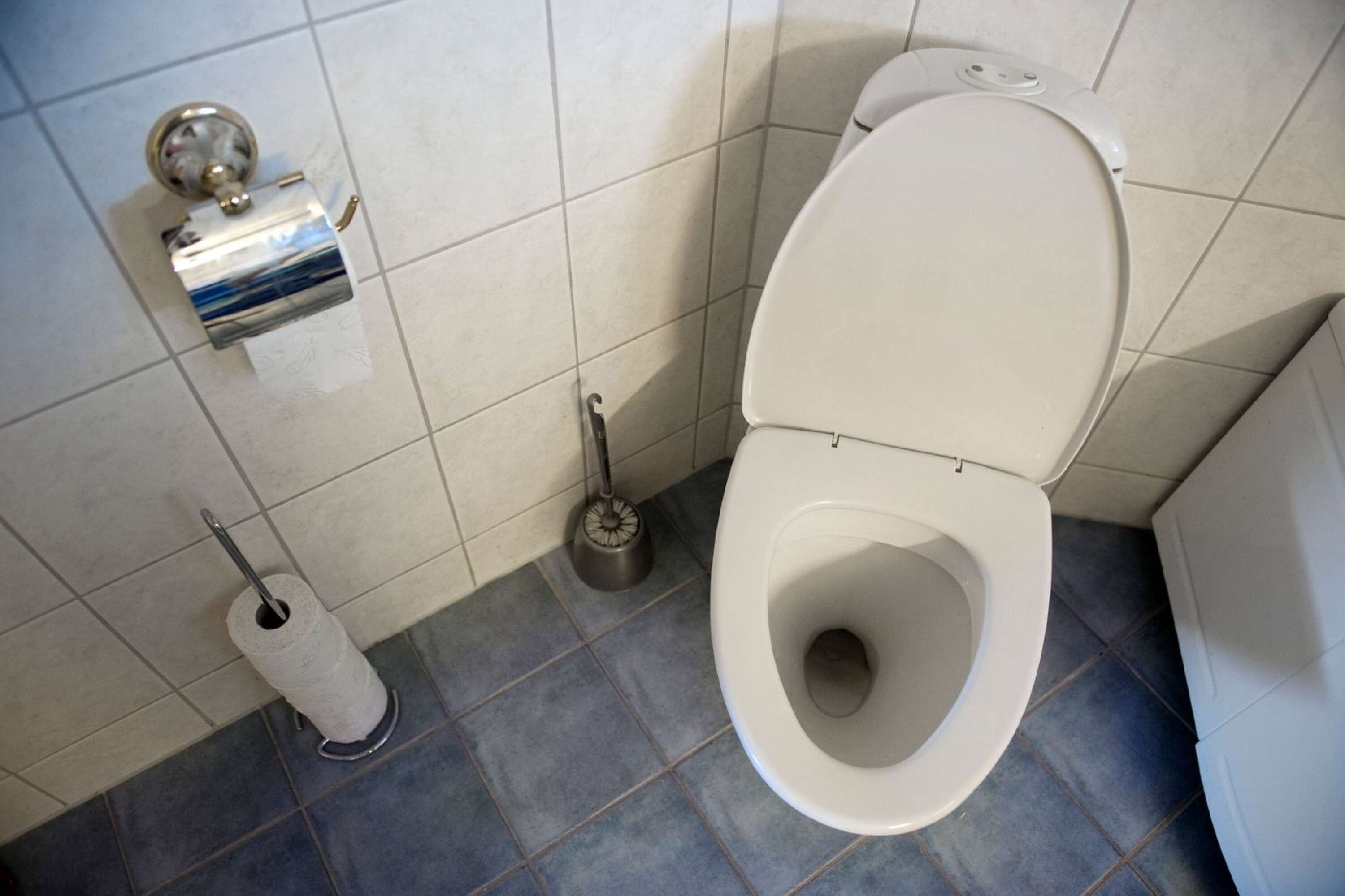 Anders Jansson menar att det är bättre att be att få låna toaletten än att lämna bajspaket i trädgården.