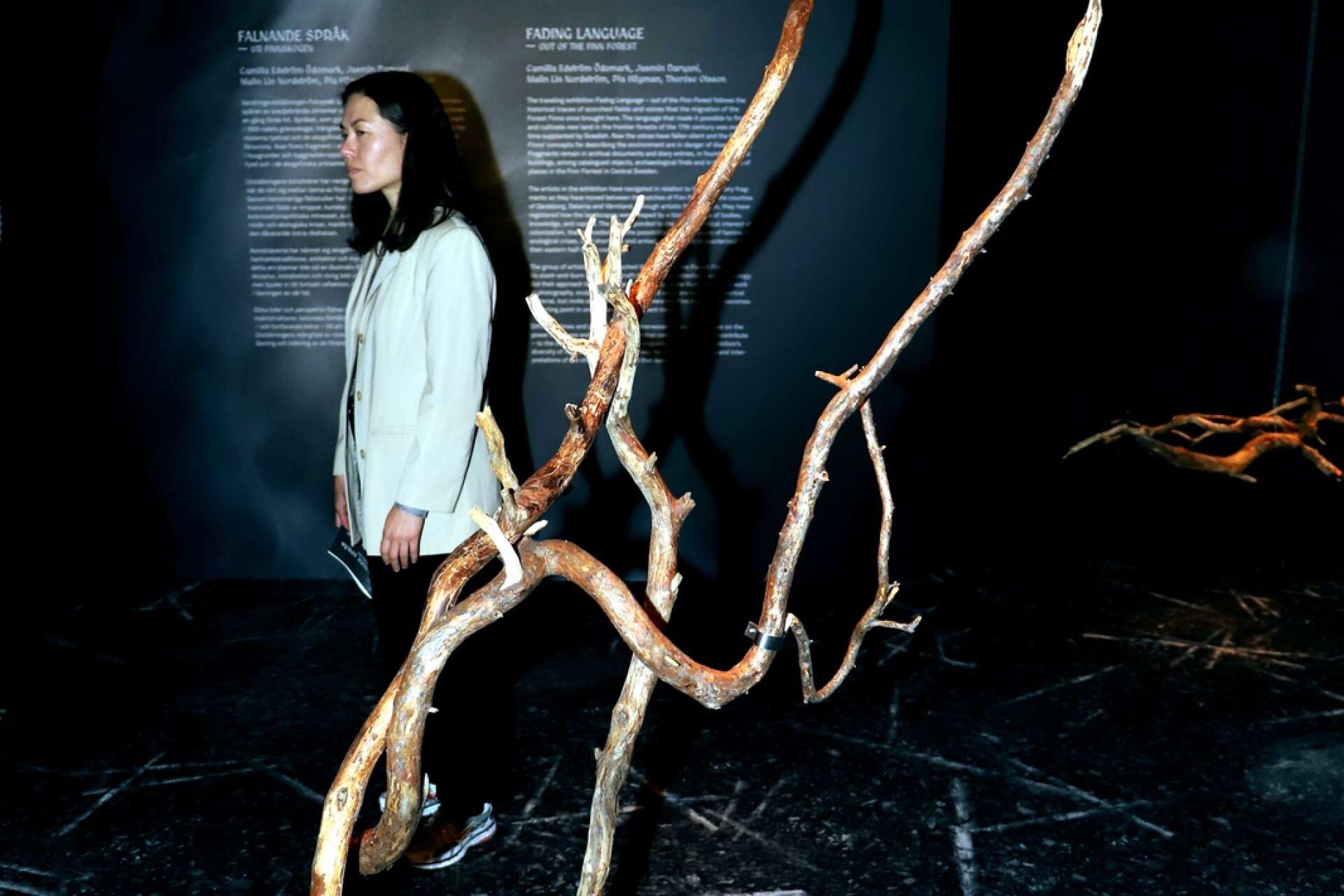 Utställningen Falnande språk – ur finnskogen visas på Torsby Finnskogscentrum i Lekvattnet fram till den 31 augusti. På bilden Malin Lin Nordström med några av sina skulpturer.