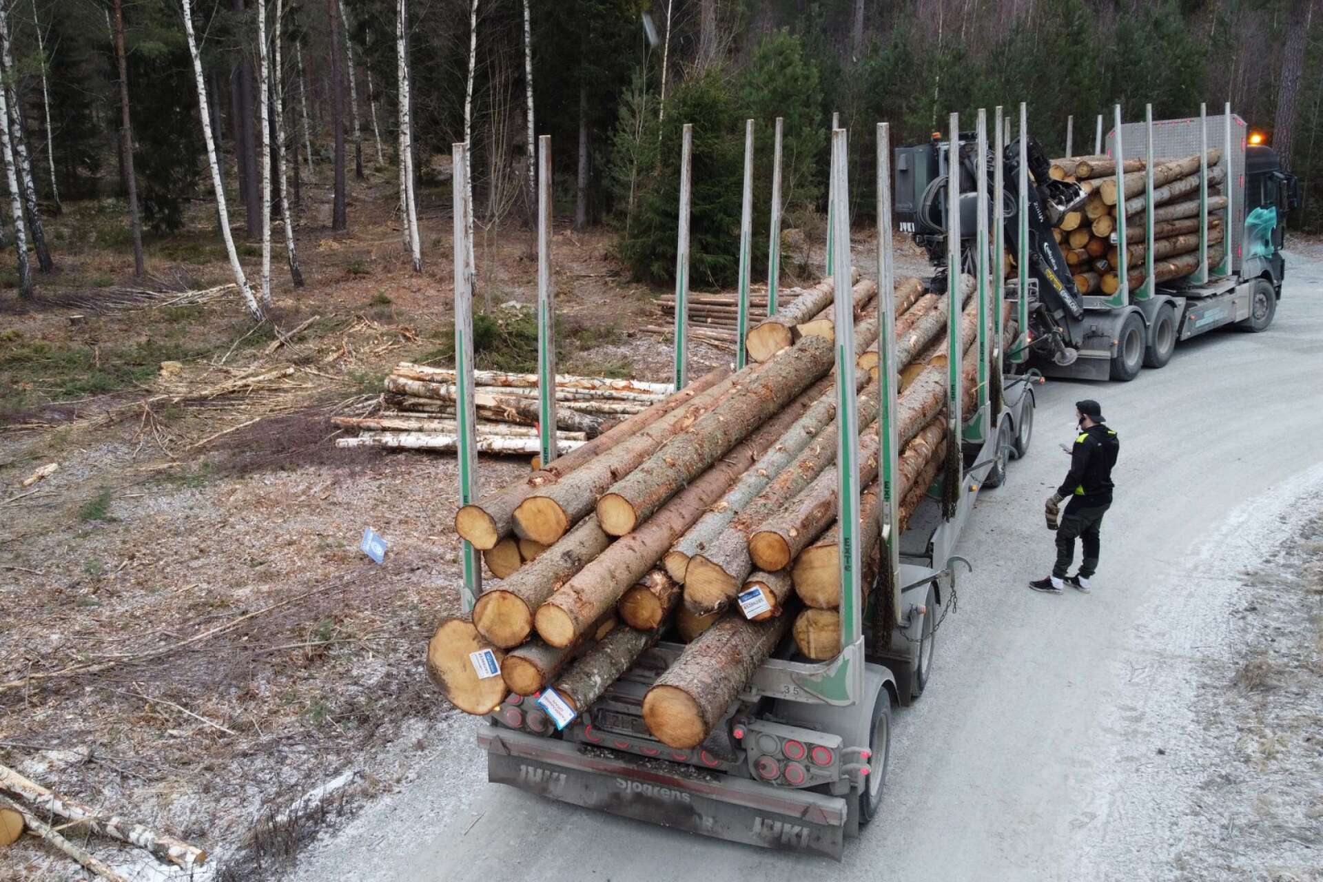 Skogsnäringen ger hundratusentals arbetsplatser och Sverige är världens näst största exportör av industriprodukter från skogen, skriver Charlie Weimers.