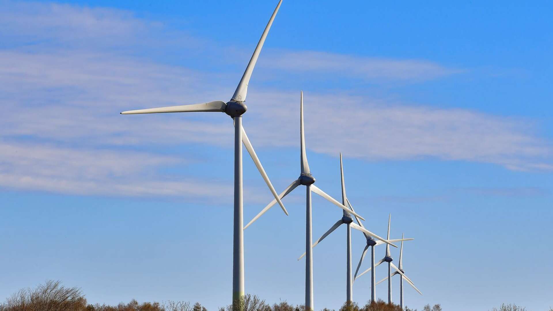De 23 vindkraftverken ska enligt planen blir mellan 250 och 300 meter höga. Själva området är 2 000 hektar stort. Vindparken skulle kunna vara på plats inom fem till åtta år. 