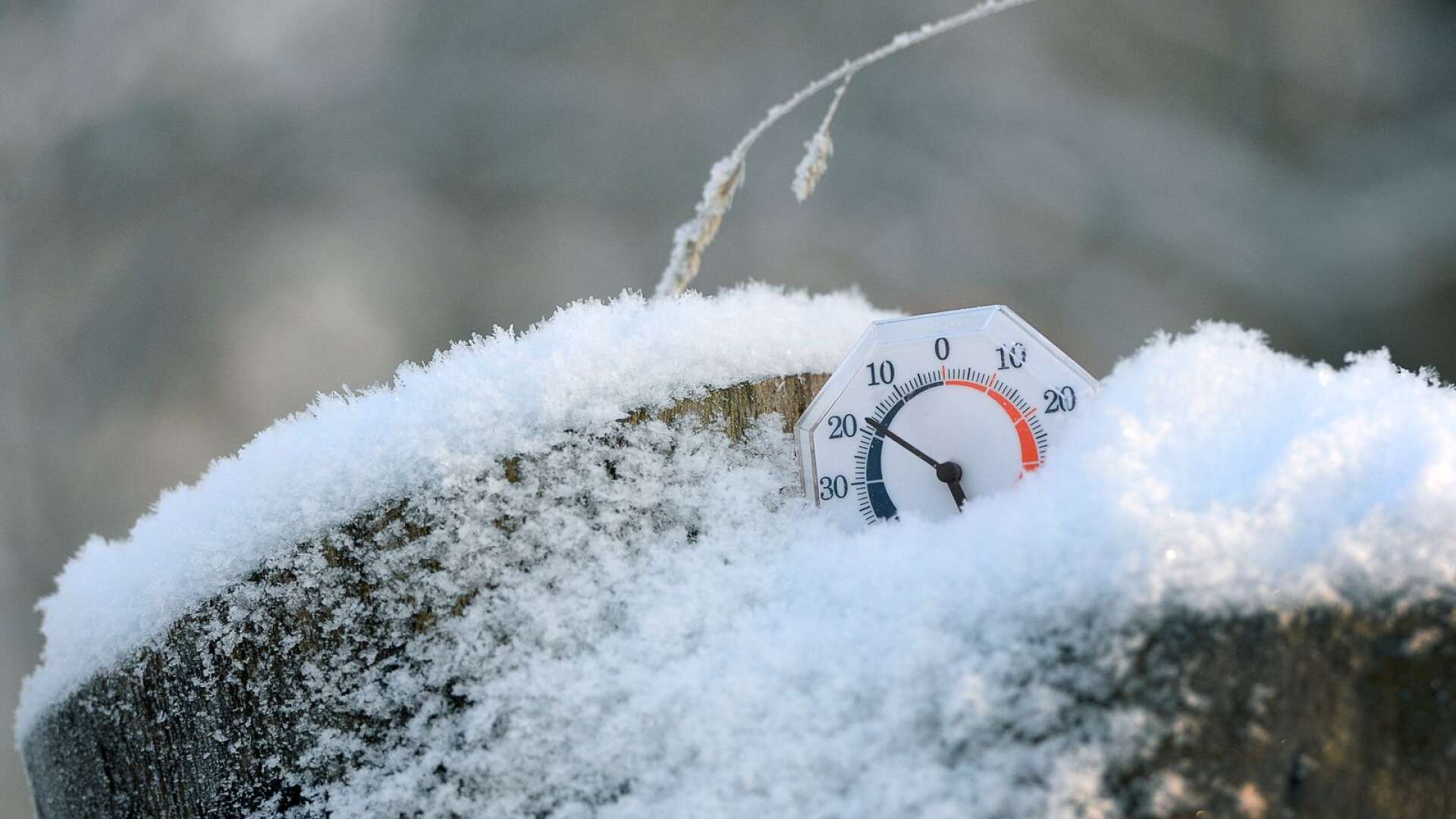 Årets februari har hittills en medeltemperatur på -5,5 grader.