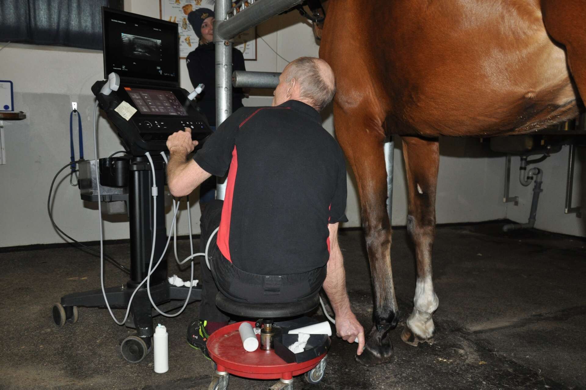 Henrik Nyberg, veterinär och delägare i kliniken, gör ultraljud på en hästhov.
