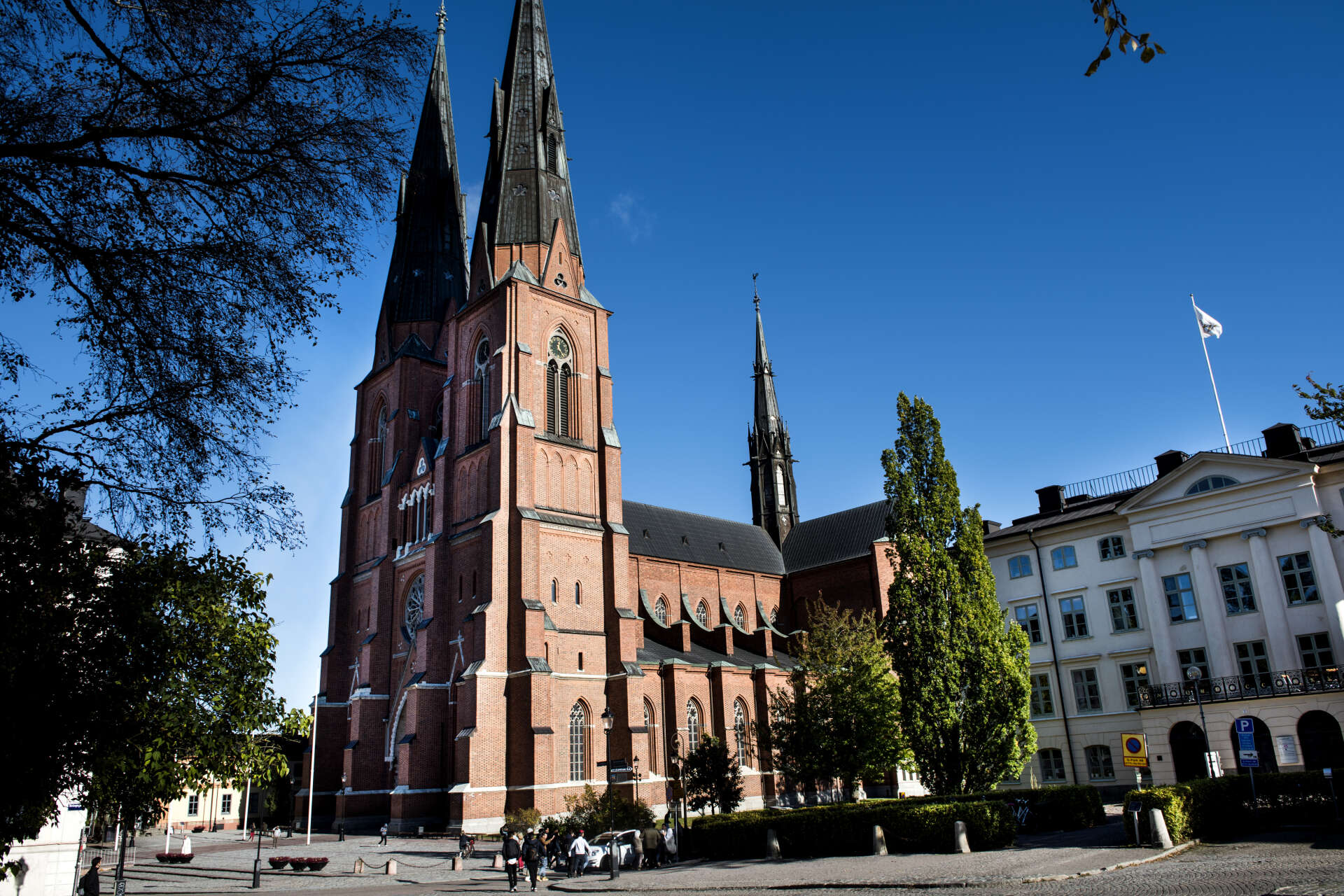 Domkyrkan i Uppsala. Arkivbild.