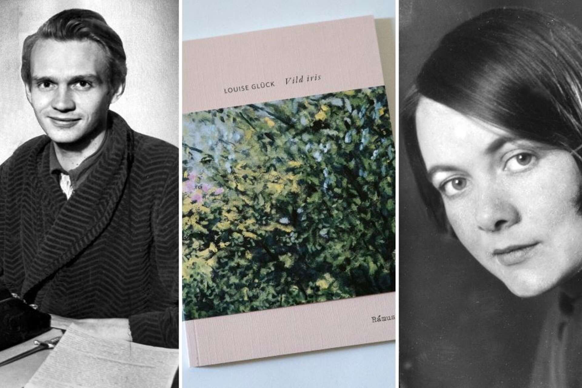 Stig Dagerman och Karin Boye inspirerar Ellen Forsström och även Louise Glück, som fick årets Nobelpris i litteratur.