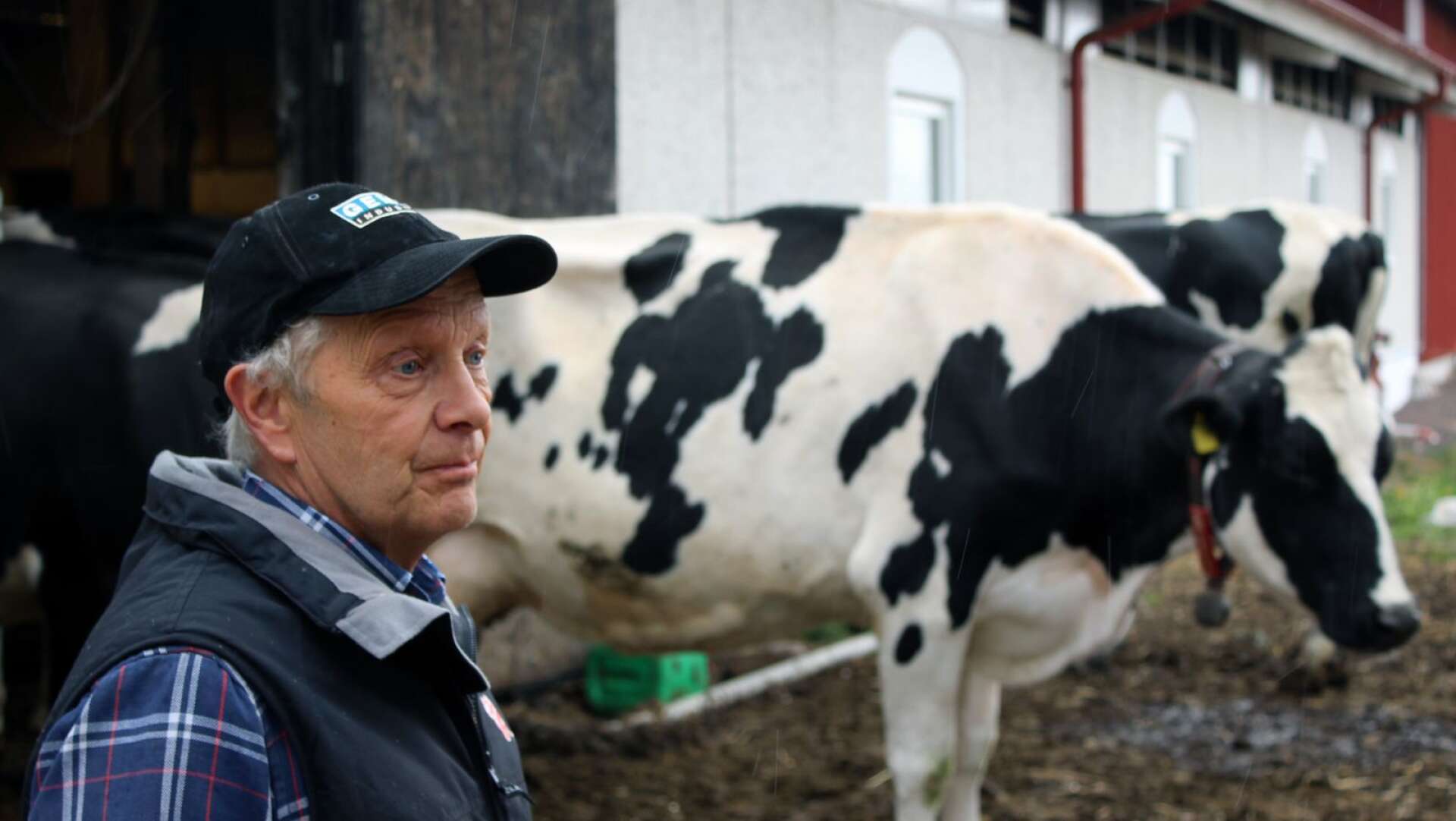 Mjölkbonden Lars Pehrson har redan gett upp hoppet om årets första skörd. Men han håller noga koll på väderprognoserna och hoppas på bättring. Mycket regn kan rädda upp årets säsong.