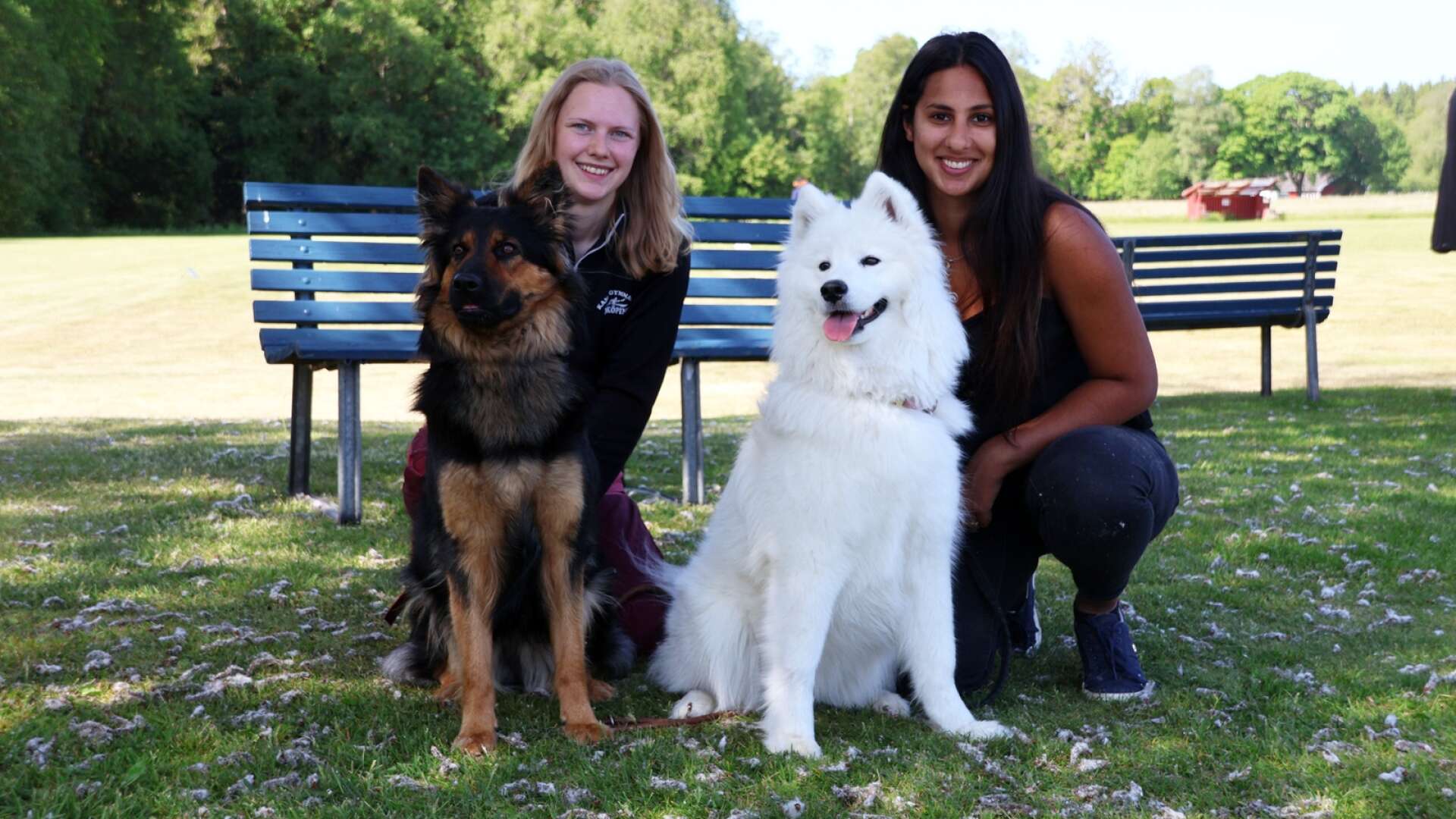 På nationaldagen var det hundtävling på Bölevallen i Ed där Jonna Ilovaara med hunden Ayla, och Ronja Markebo, med sin hund Belle, tävlade för första gången.