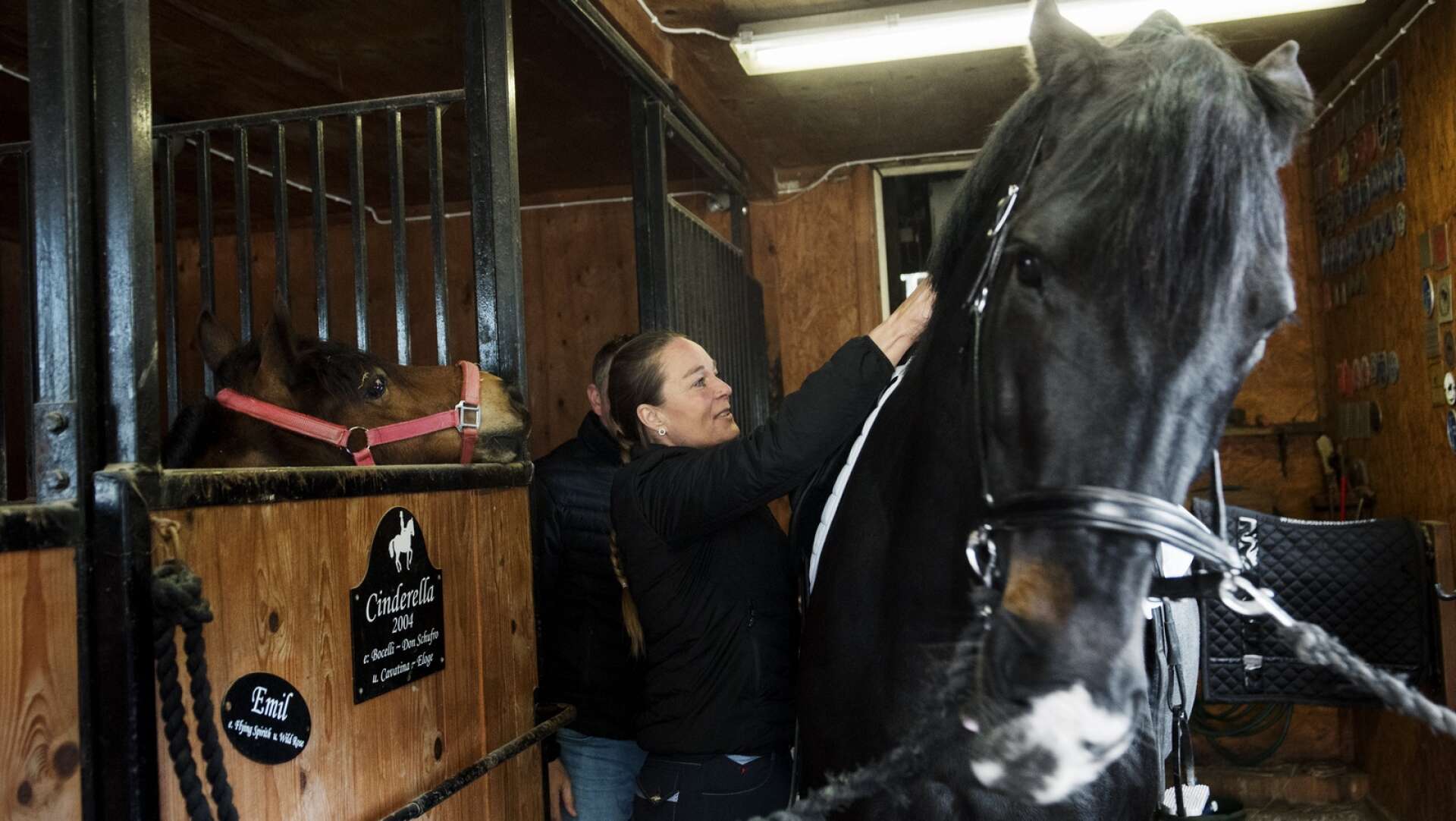 I samband med Gothenburg Horse Show ska pararyttarna vara med på en clinic, en uppvisning. Dit hoppas Amalia Josbo, som tävlar för Karlskoga hästsportklubb, kvalificera sig tillsammans med Lady Evelin.