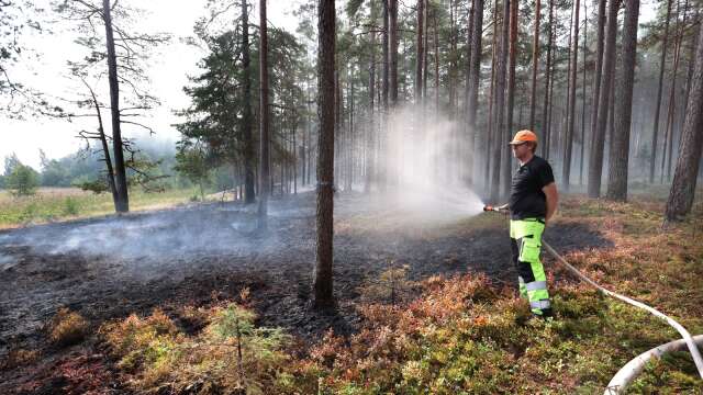 Efter naturvårdsbränningen pyr det fortfarande i skogen. Gunnar Botström är en av dem som passar så att det inte tar sig.