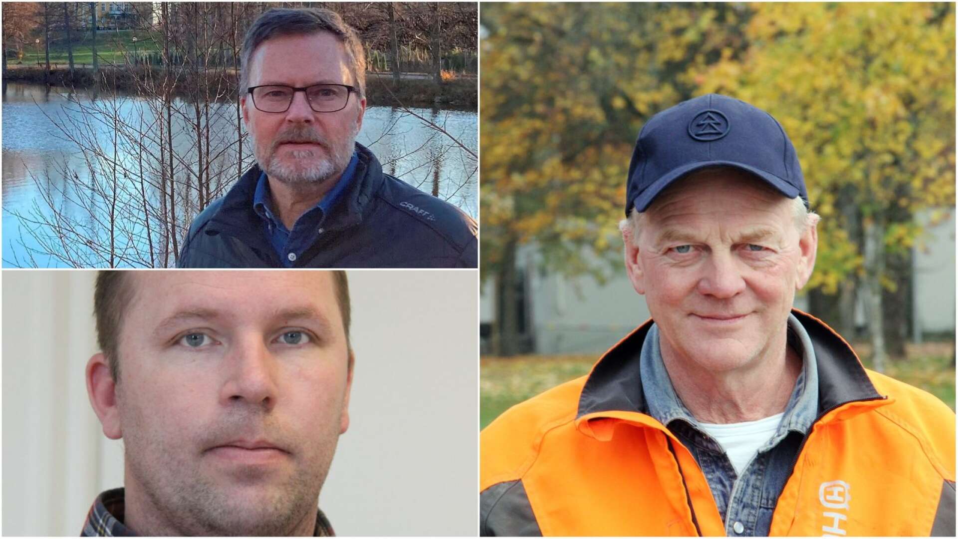 Pontus Larsson, Johan Håfström och Roger Johansson är alla positiva till idén om att bilda en utvecklingsarena för skogsfrågor. 