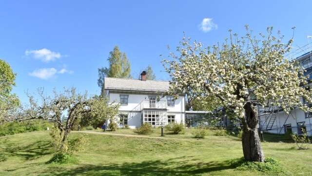 Nyklippt gräsmatta och äppelträd i blom - Rackstadmuseet är snart redo att ta emot besökare igen.