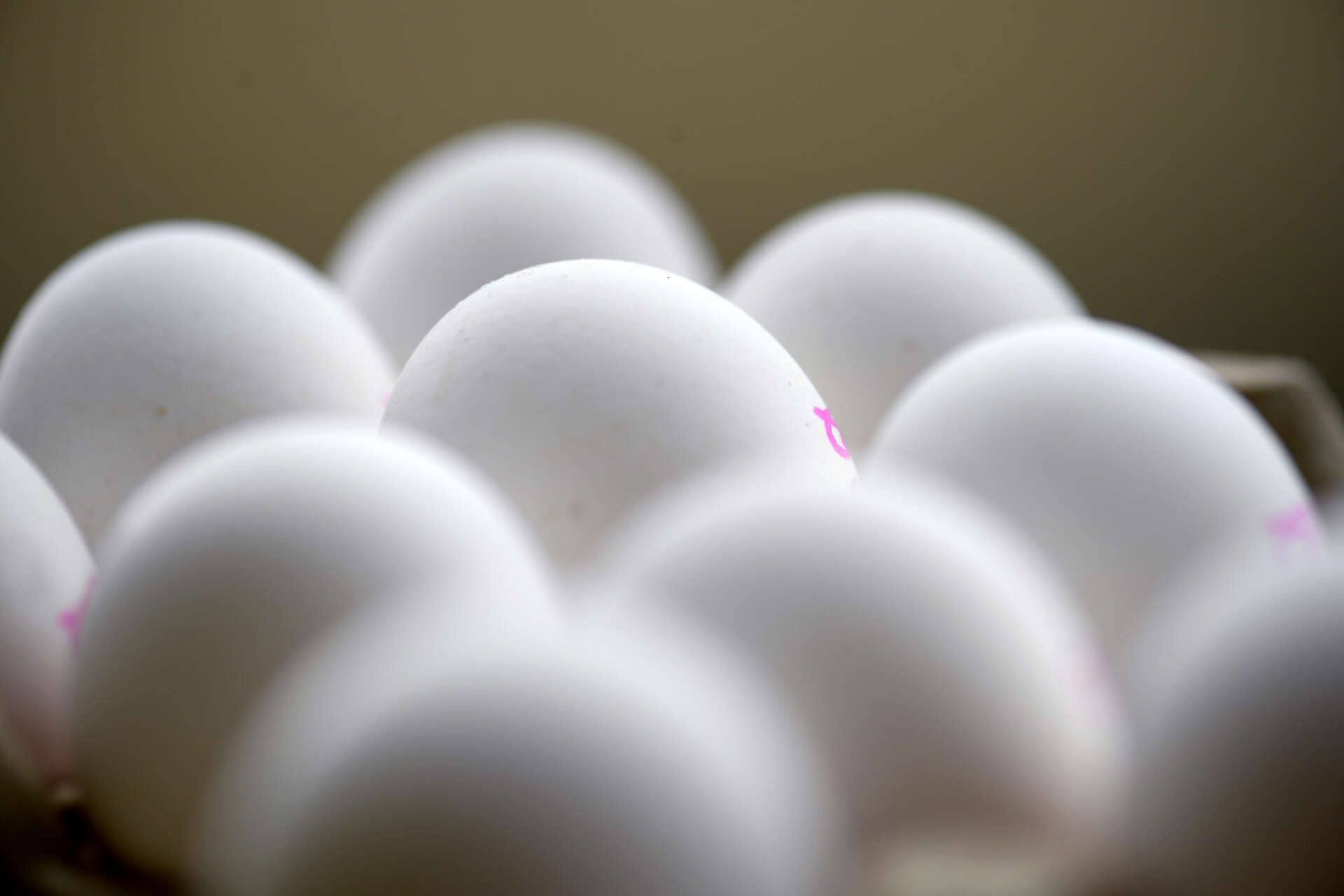 Enligt experter ska man välja svenska ägg om man vill undvika salmonella. Arkivbild.