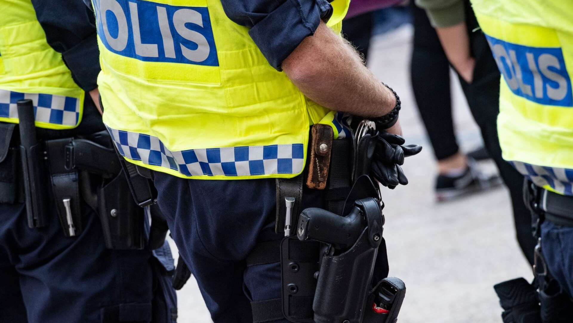 När partiet Alternativ för Sverige höll ett torgmöte i Malmö förra året så var polisen på plats för att hålla isär motdemonstranter och anhängare. 