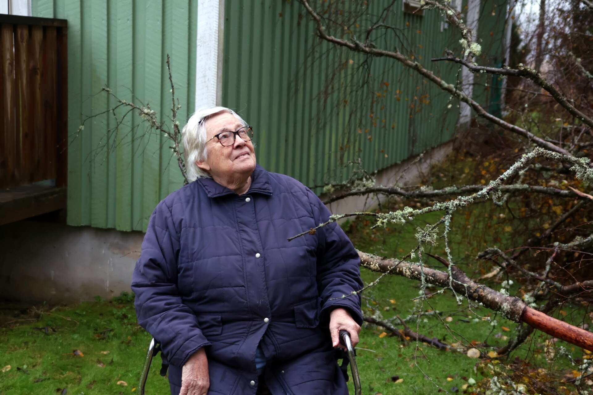 Fyra björkar blåste ner i Ann-Marie Larssons trädgård. Ett av dem var ytterst nära att träffa huset, och ett annat fick strömmen att slås ut.