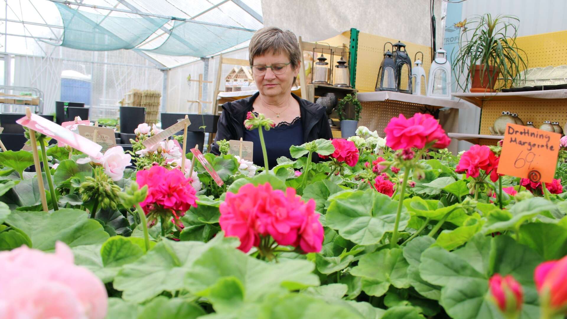 Greeks handelsträdgård är ett familjeföretag som funnits sedan 1947. Blommorna som Anneli Greek säljer i växthuset i Filipstad odlas hemma på gården i Väse.