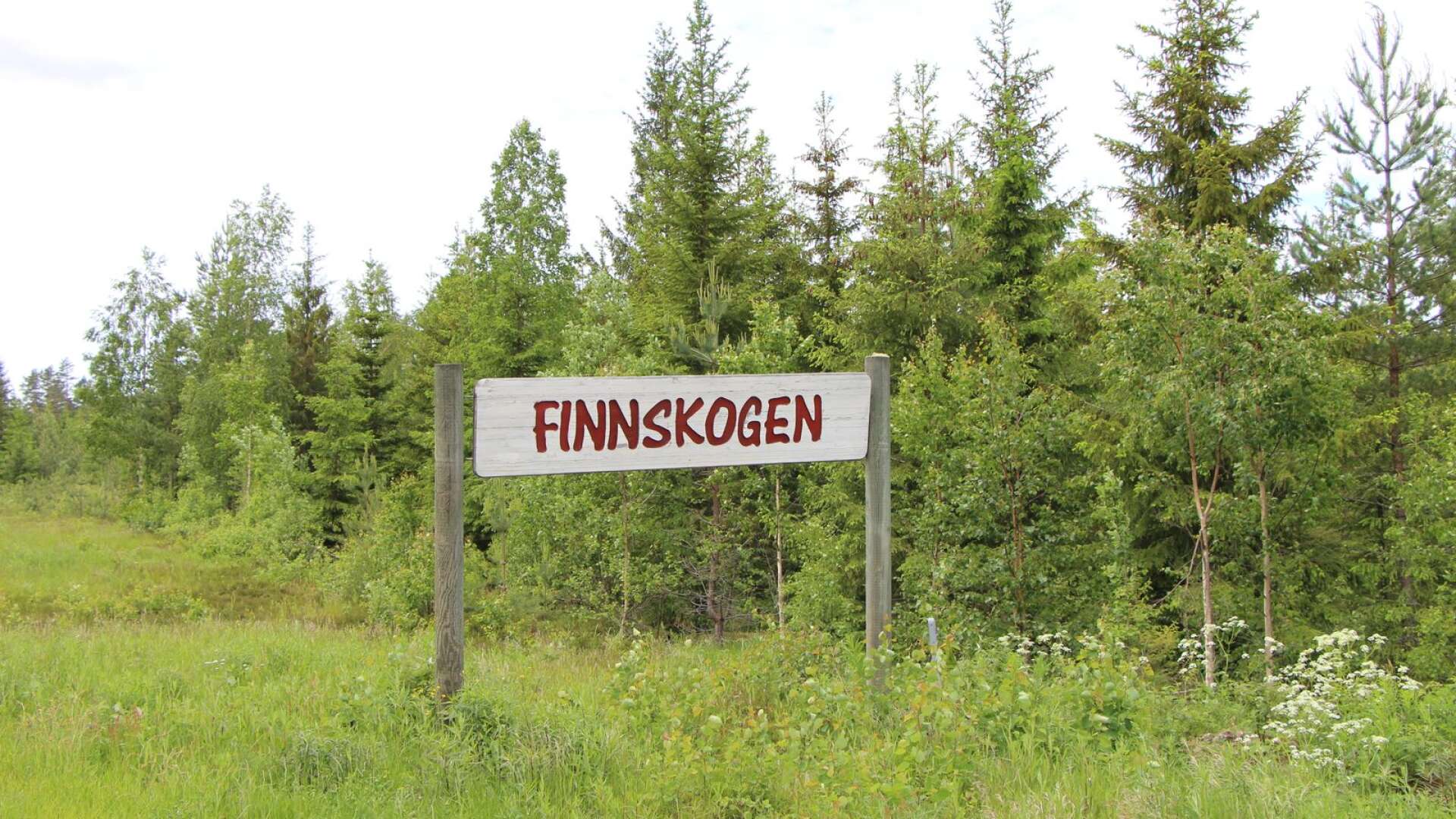 Målsättningen är att såväl den svenska som den norska Finnskogen ska ingå i världsarvet.
