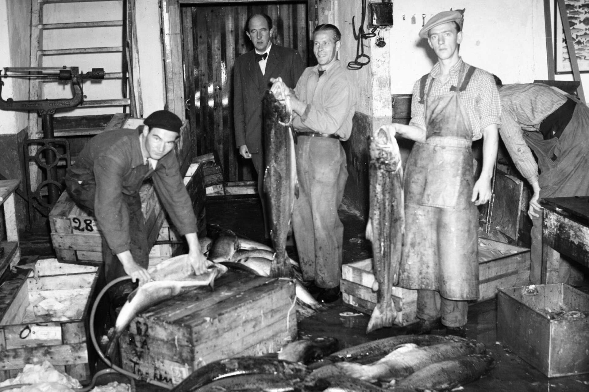 I Matkults databaser finns flera värmländska recept med fisk. Bild från Fiskecentralen 1946.