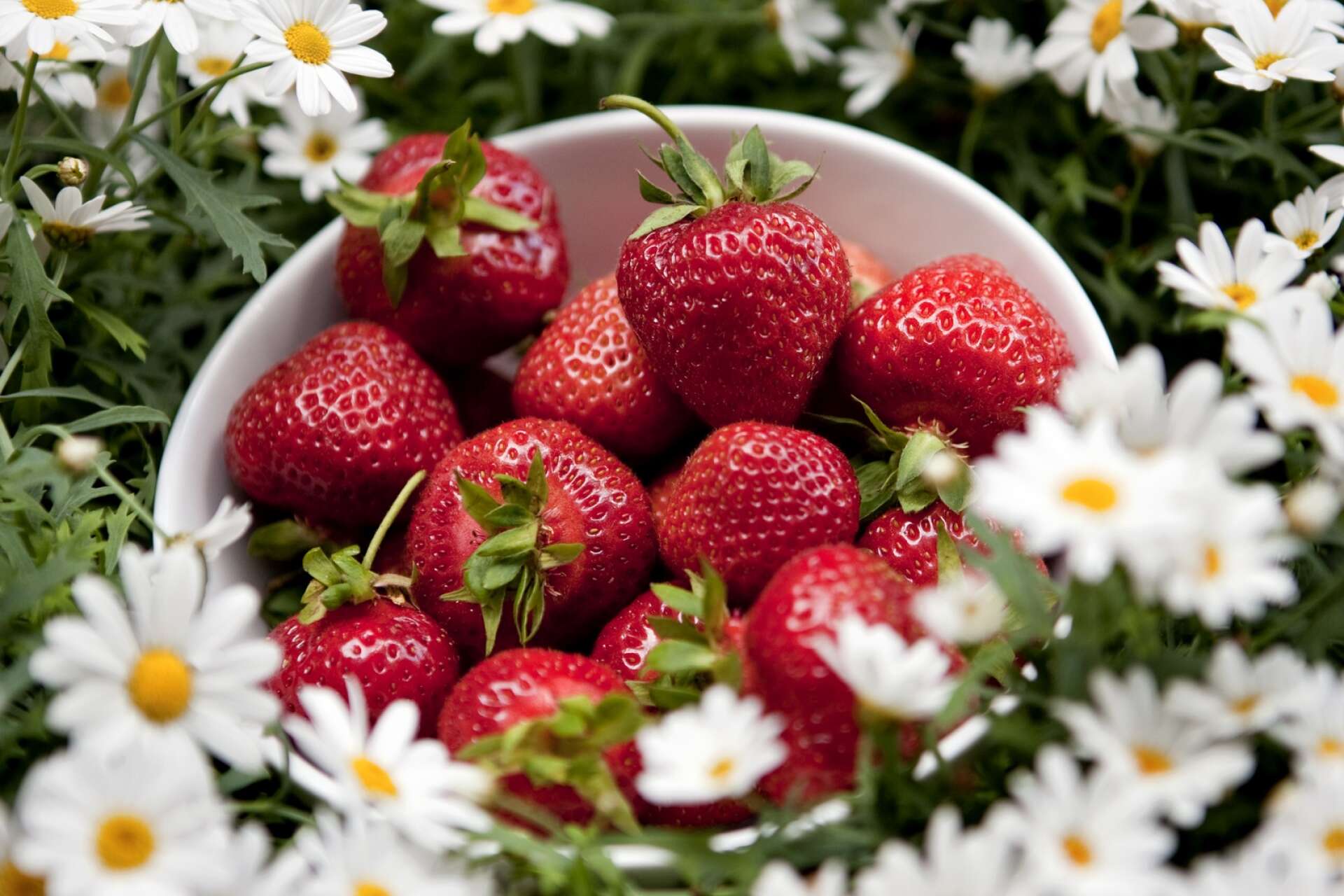 Det är inte mycket som slår jordgubbar på sommaren, men att kombinera det med kolasås och vaniljglass...