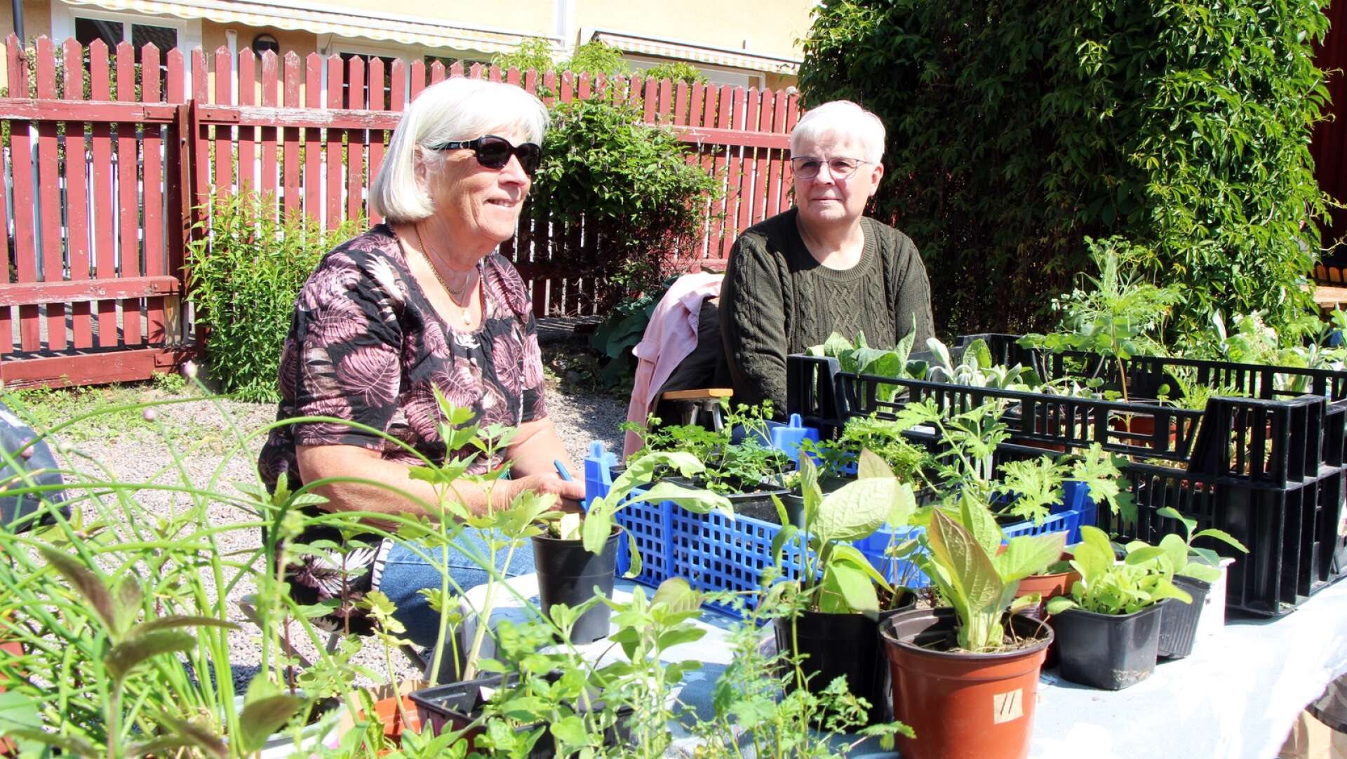Barbro Karlsson och Agneta Hallén hade ett stort överskott av växter med sig på trädgårdsloppisen. En hel del hade gått till nya ägare som kan ta hand om dem.