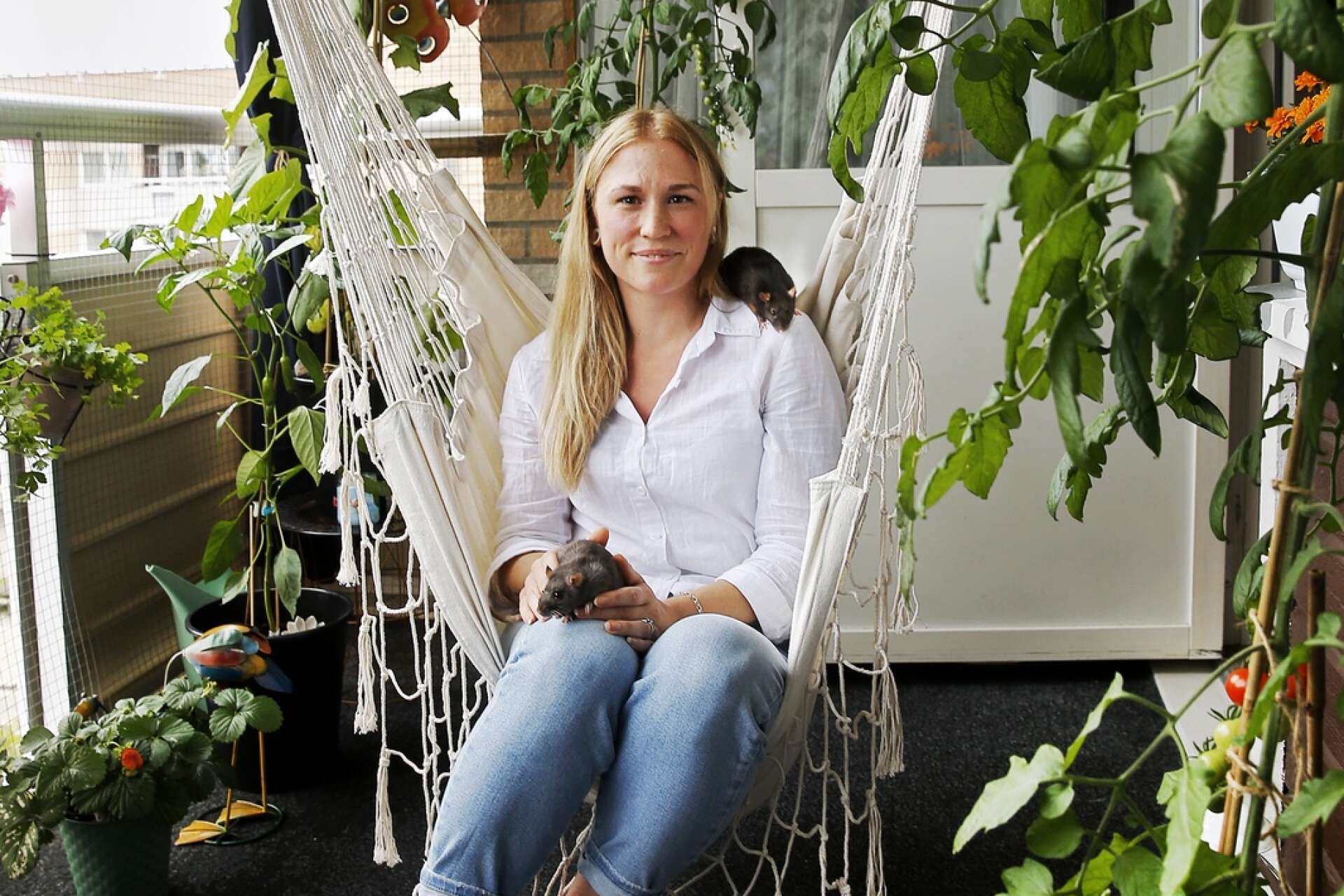 Nytt för i år är en liten hängmatta som satts upp i balkongtaket. ”Jag älskar att sitta i den” Säger Sophia Eriksson Strid. 