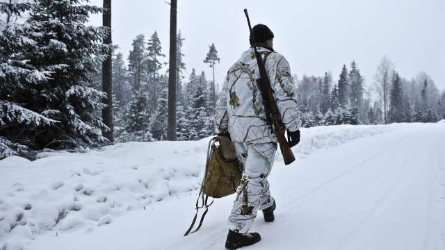 Länsstyrelsen i Värmland får minskade resurser för att inventera varg i vinter. Det kan få konsekvenser för licensjakten 2025.