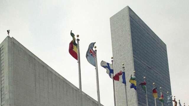 FN:s deklaration om de mänskliga rättigheterna antogs den 10 december 1948. 