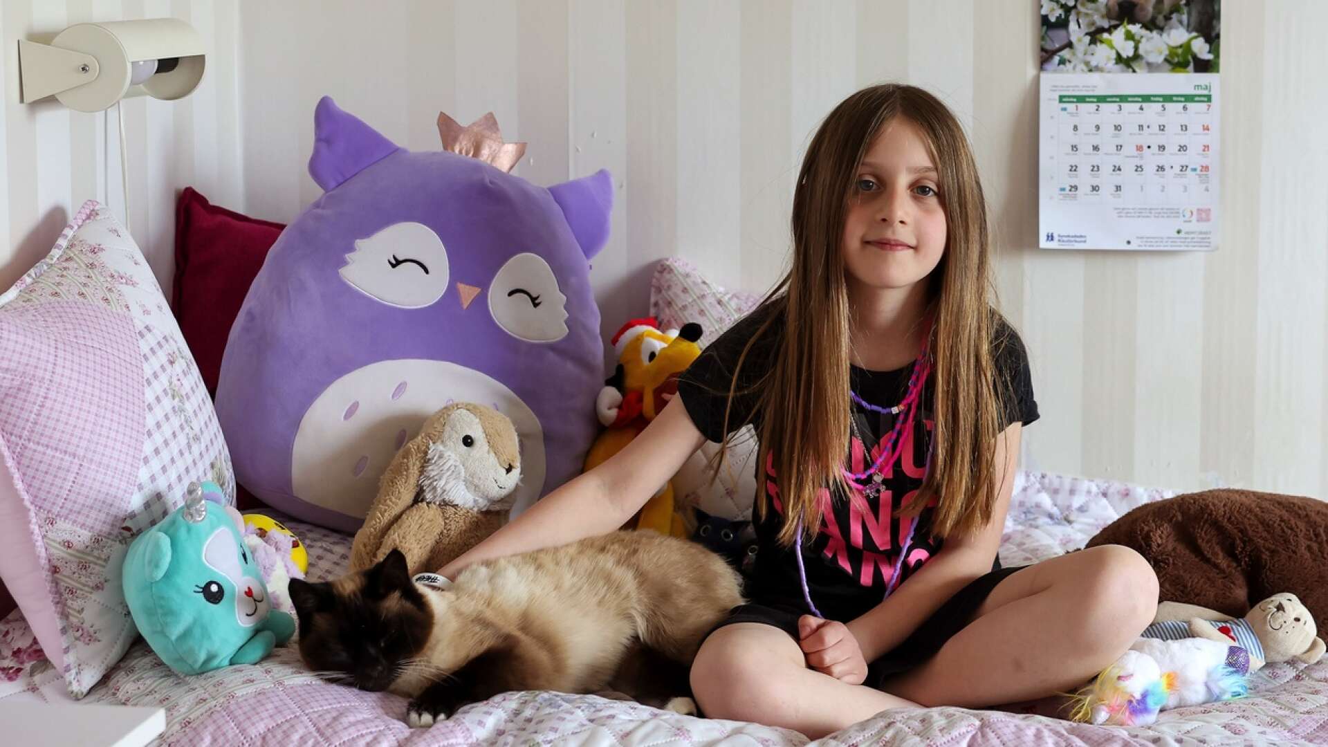 Lisa, 9 år, bor i Järpås med sina fosterföräldrar Paulina och Hans Backström och ska utvisas till Albanien. Det är här hon bott i snart totalt sex år. Fallet har rört upp mycket känslor.