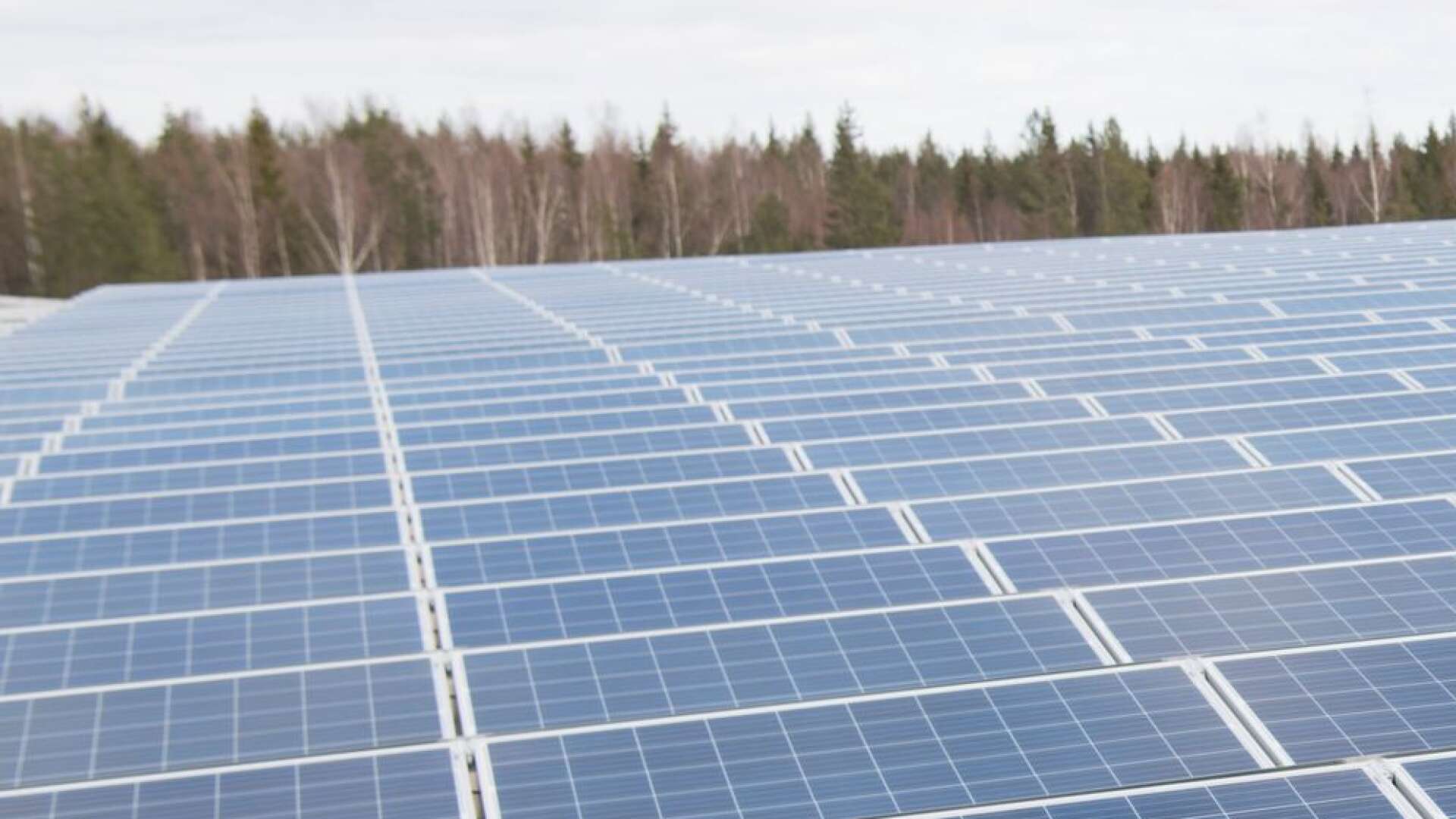 Länsstyrelsen tar ställning till Helios Nordic Energy AB:s ansökan om att få bygga solcellsparken i Stenum inom en månad.