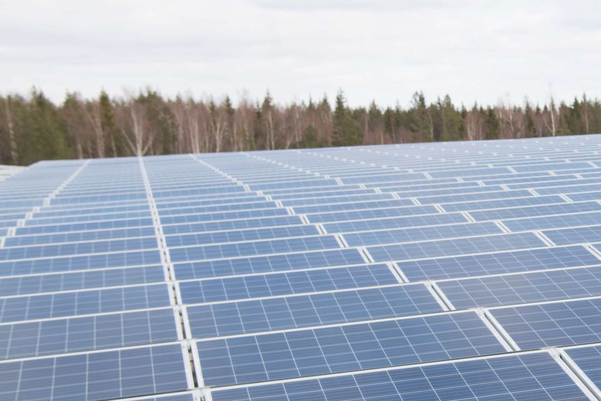 Länsstyrelsen tar ställning till Helios Nordic Energy AB:s ansökan om att få bygga solcellsparken i Stenum inom en månad.