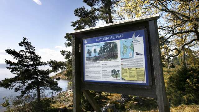 Tidigare har bara delar av Onsö varit ett naturreservat, genom Länsstyrelsens förslag kan hela ön få skyddad natur.