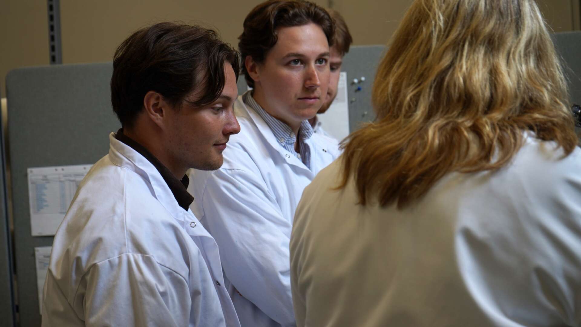 Studenterna Anton Wall och Daniel Viberg lyssnar på avdelningschefen Ann-Charlotte Krona på Nobel Biocare.